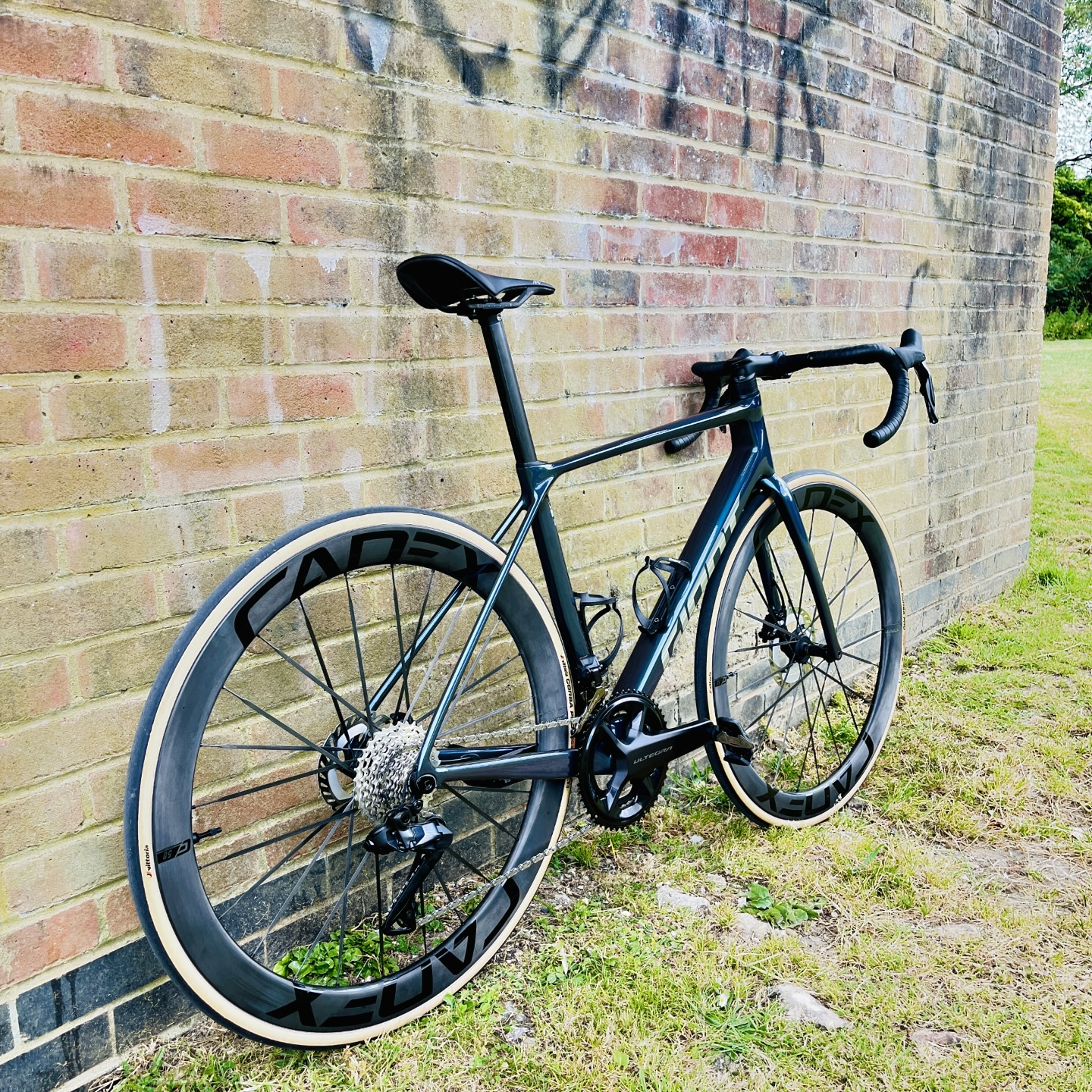 All new 2025 Giant TCR Advanced PRO 0 Di2 upgraded with CADEX