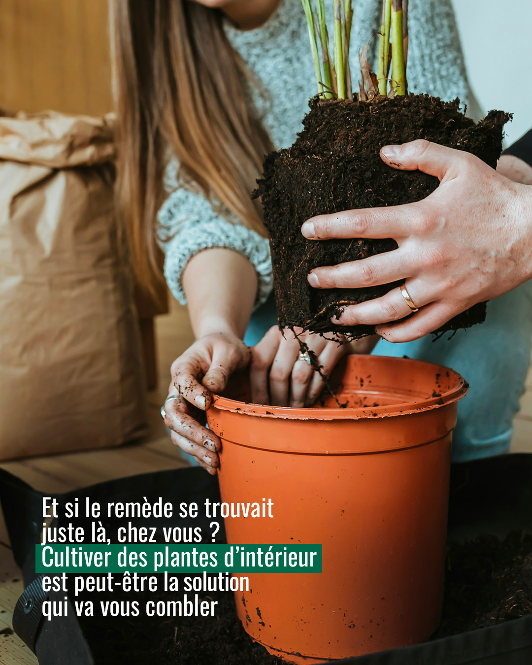 Gamm - Pour avoir la #pêche tout au long de l'année 😉, découvrez tous ...