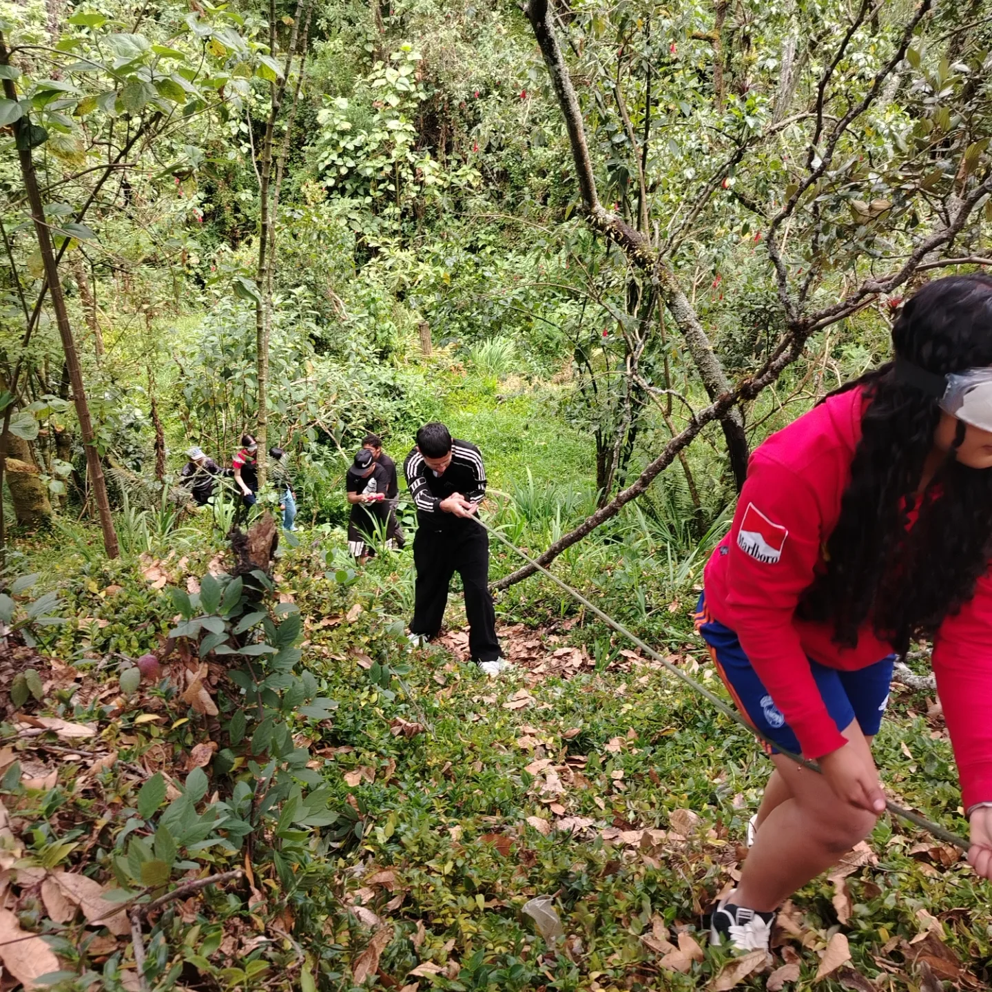 Fundación Funsar | Bogotá