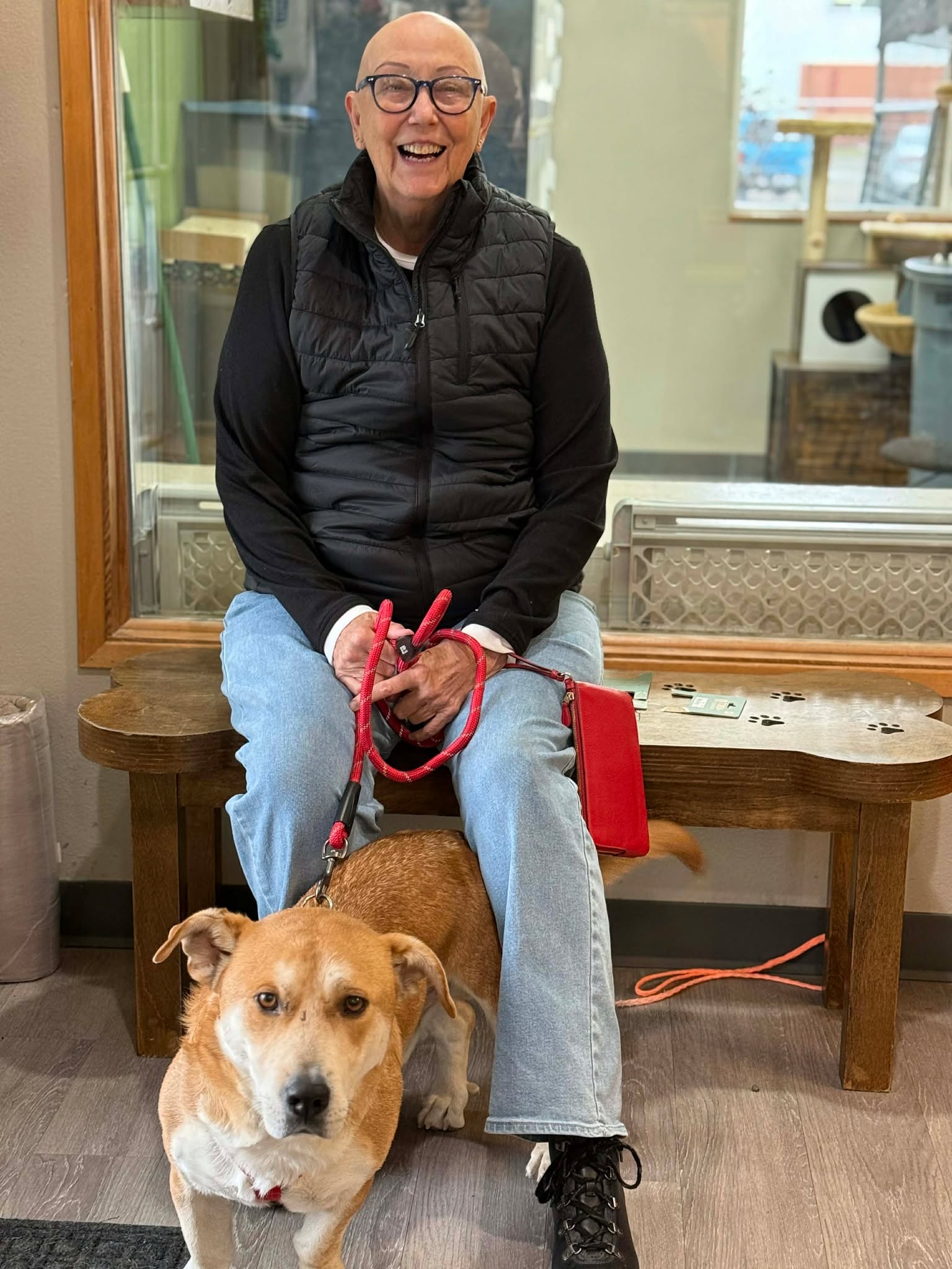 Adams - It's Shingle's special day! He's been adopted by Rita after he ...
