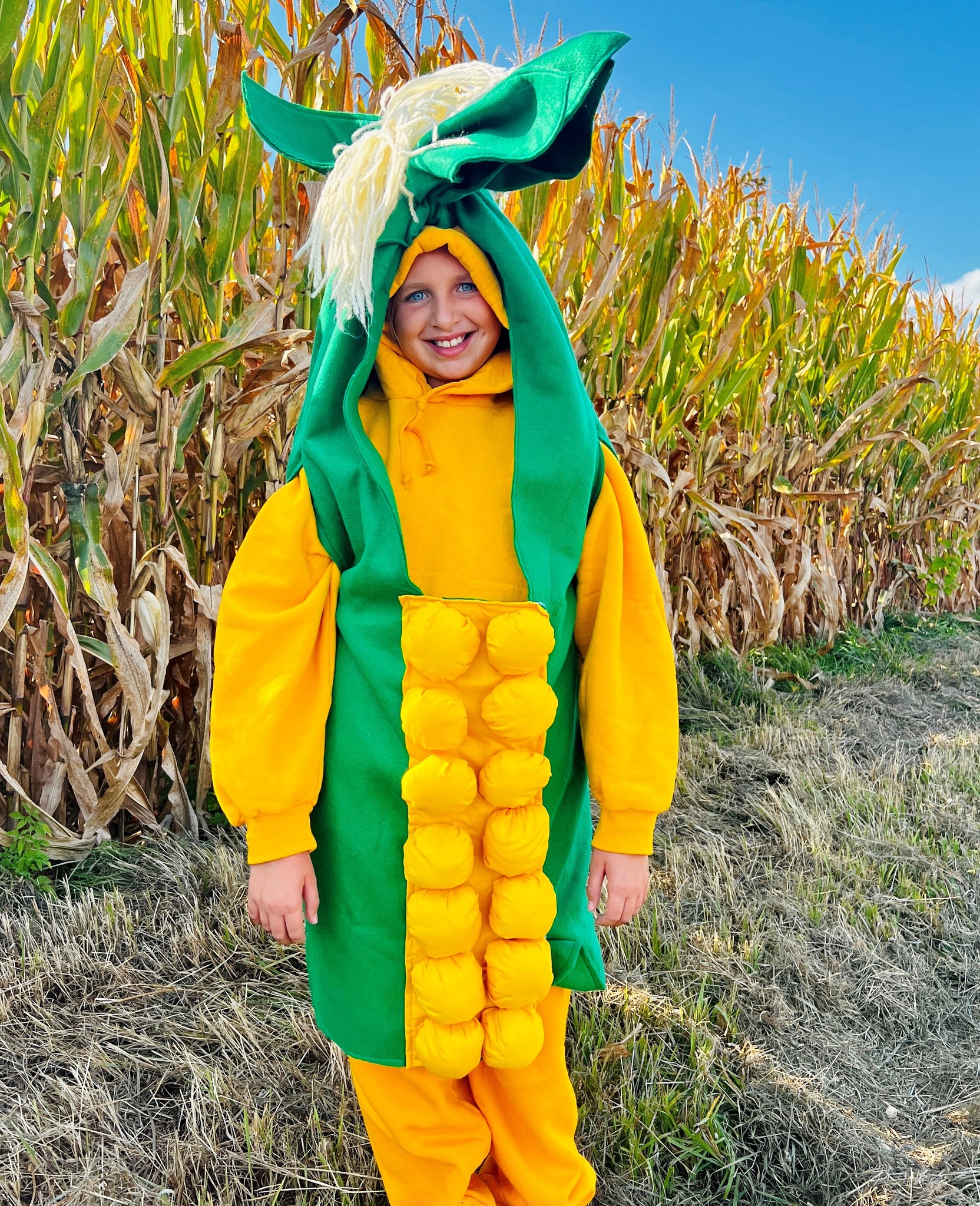 IL Corn | Bloomington IL