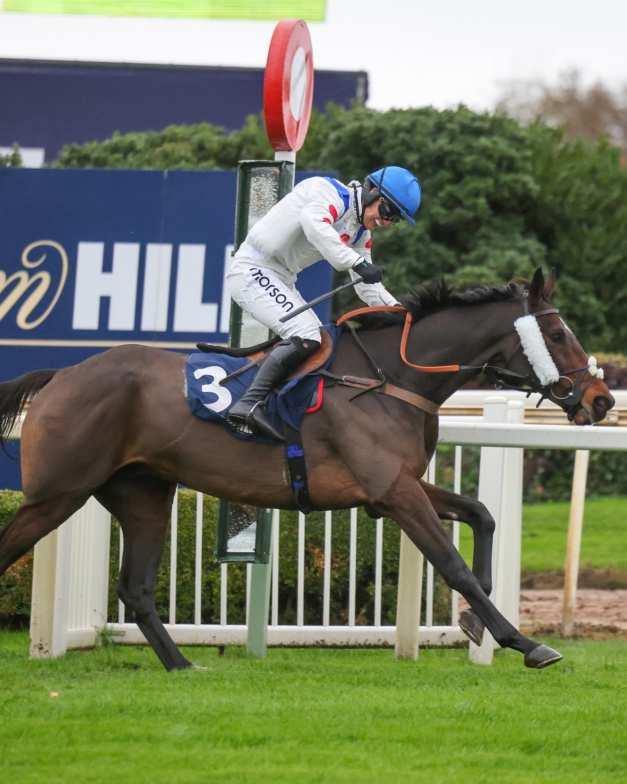 The Jockey - Lovely news as the owners of Hitman have confirmed that ...
