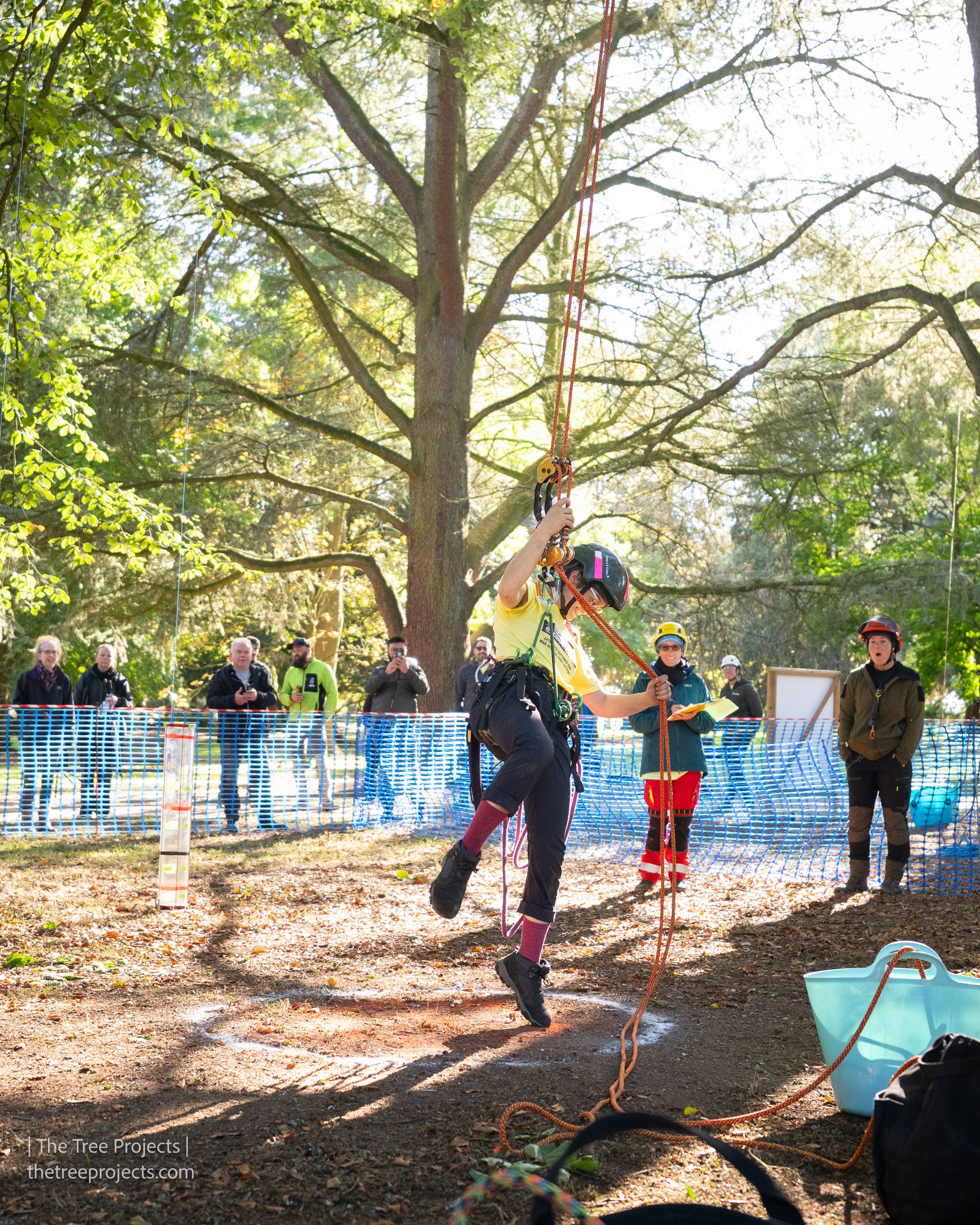 UK & Ireland Tree Climbing Competitions