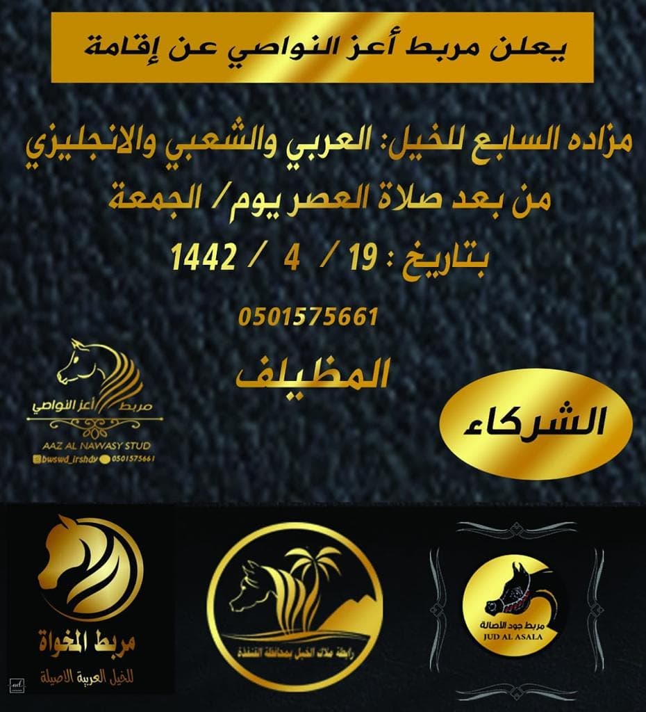 Khalidalsahali مزاد مربط اعز النواصي للخيل Facebook