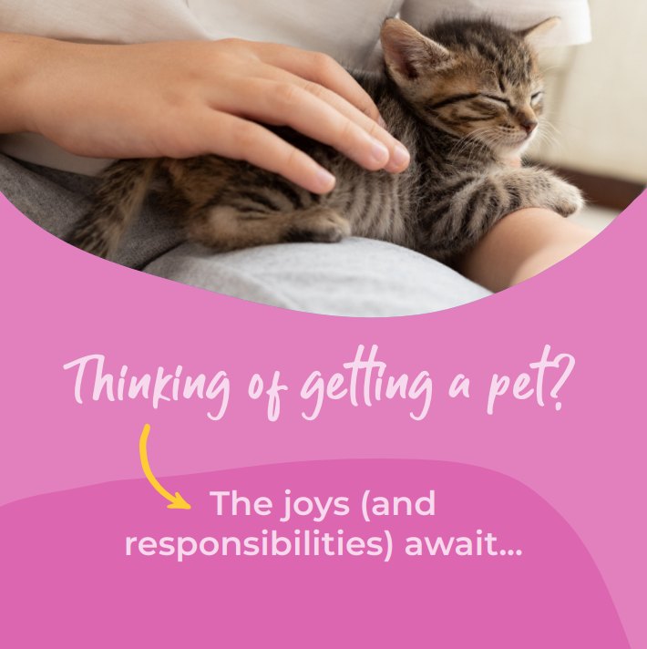 Photo inspiration: How To Encourage Responsibility In Cats Reference: Village Vet Cambridge