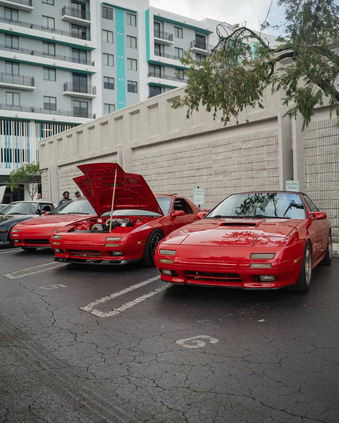 Pettit Racing | West Palm Beach FL