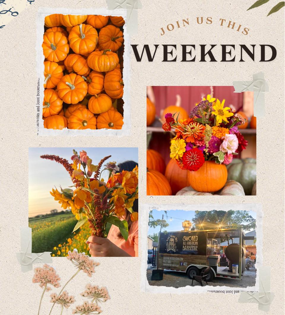 The Wildflower - 🍂🎃 Fall Fest Weekend at The Wildflower Farm 🎃🍂 It’s a ...