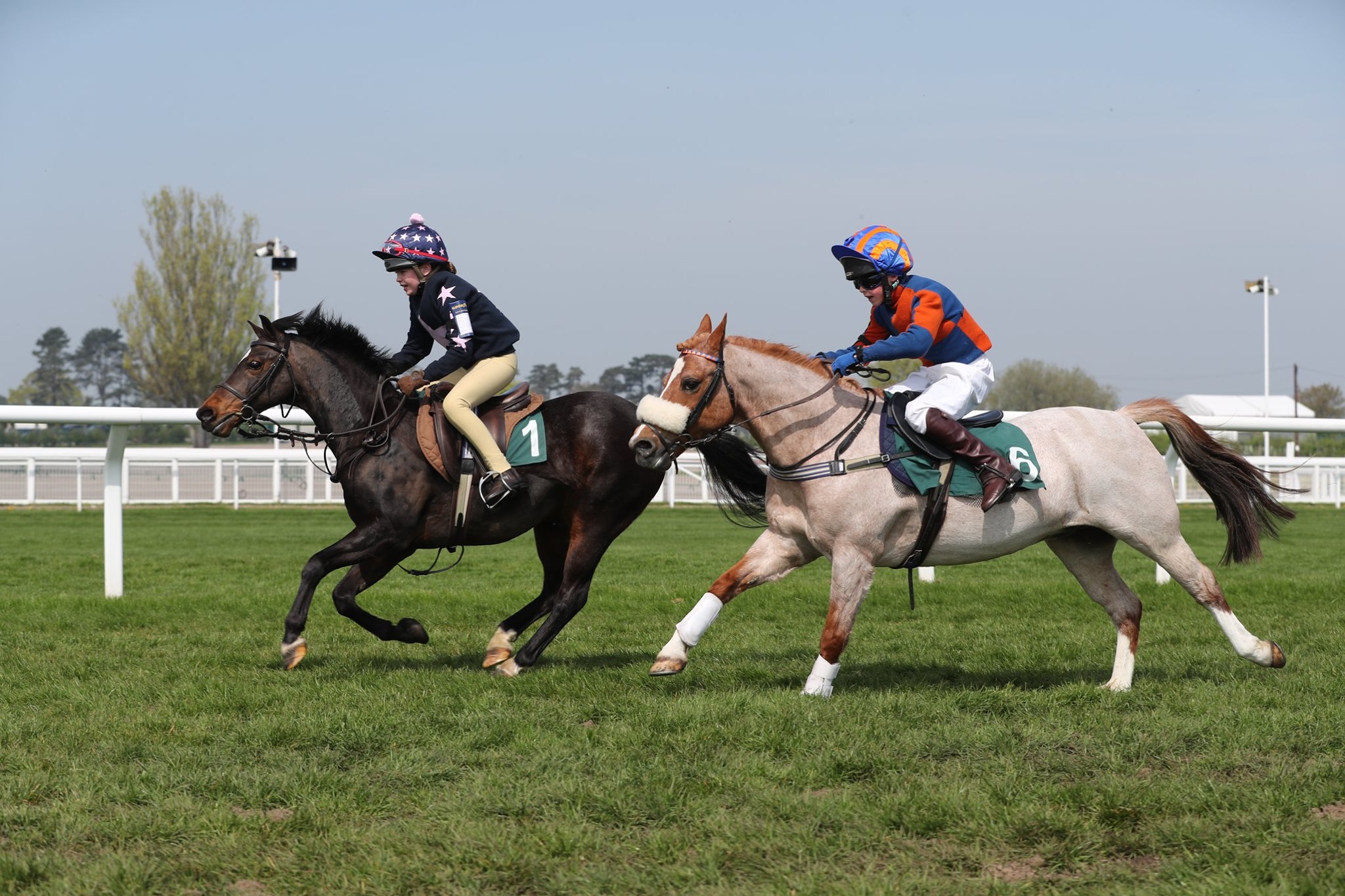 Area 9 Pony Club Race Day | Cheltenham