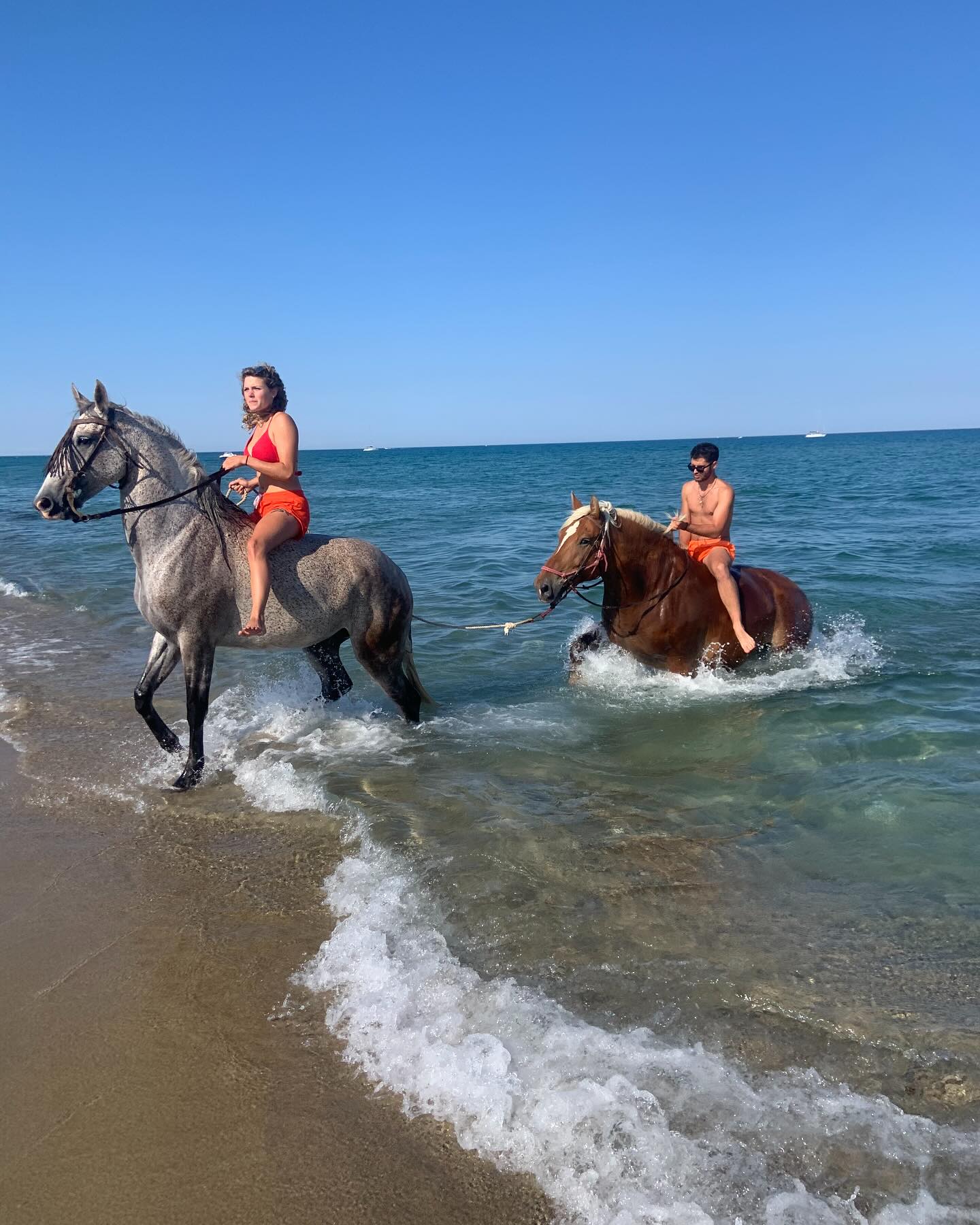 Ranch Desperado | Leucate