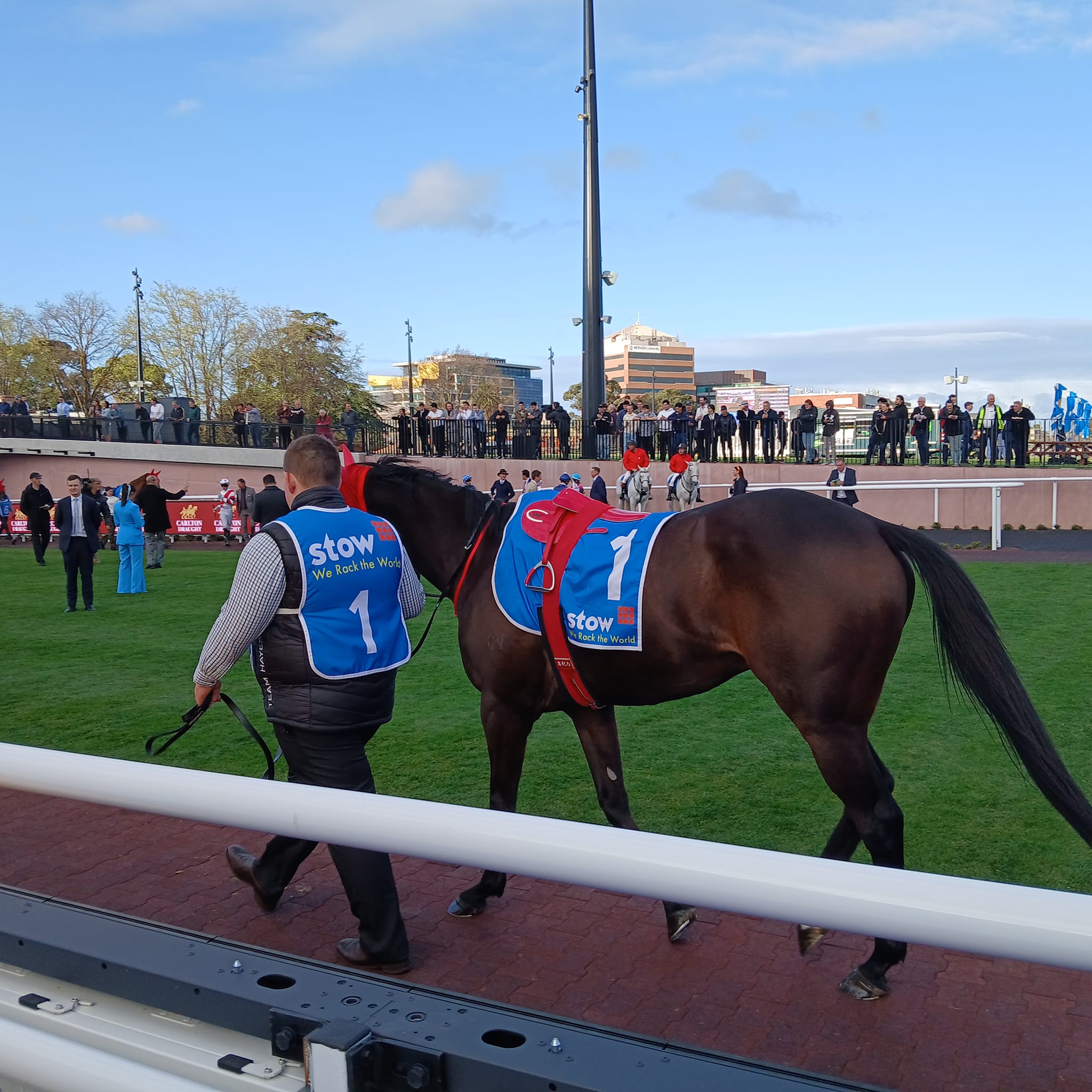 Queensland Thoroughbreds | I am not involved in racing so days like ...