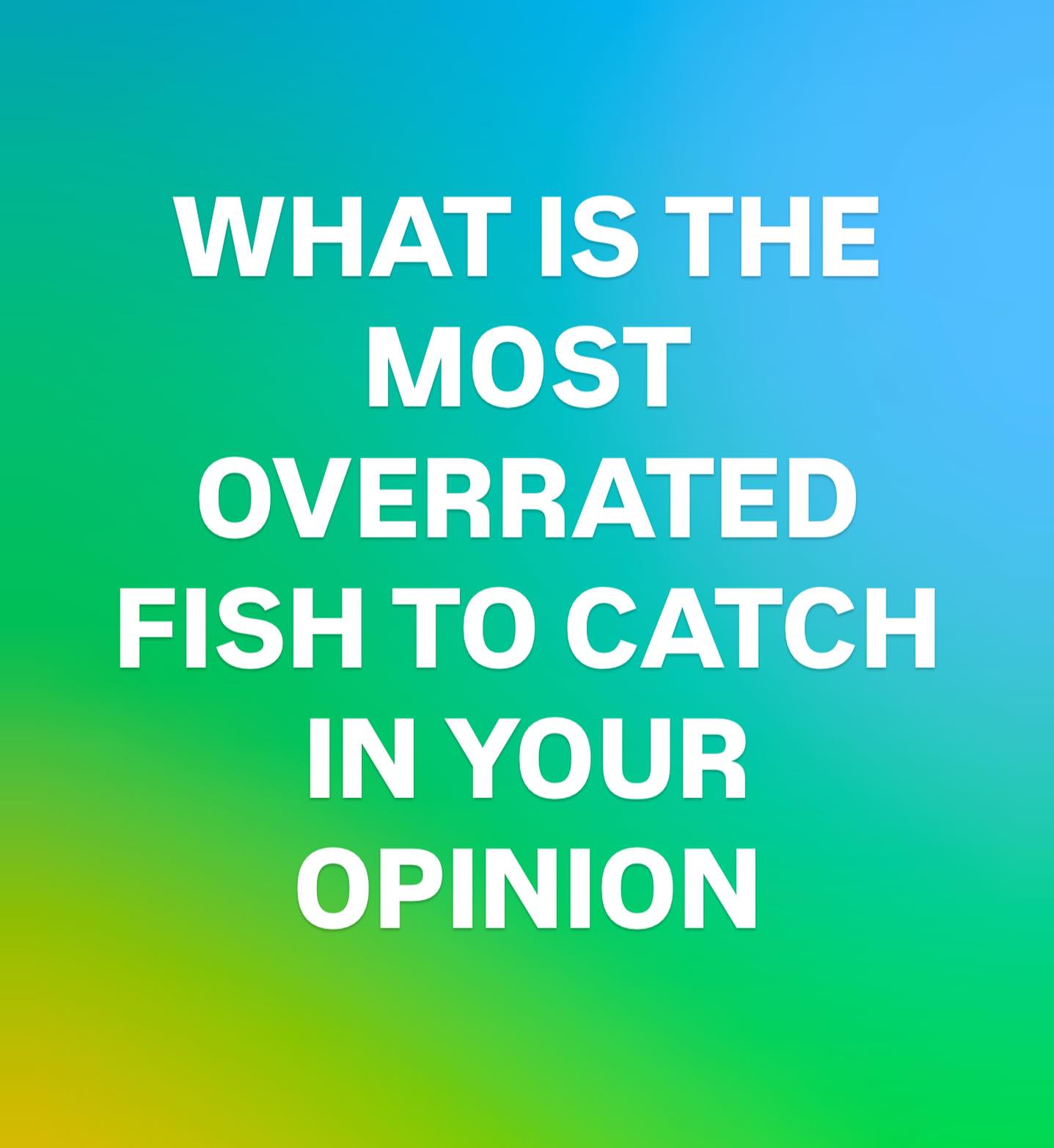 Ifish - 🧐🧐🧐 | Facebook
