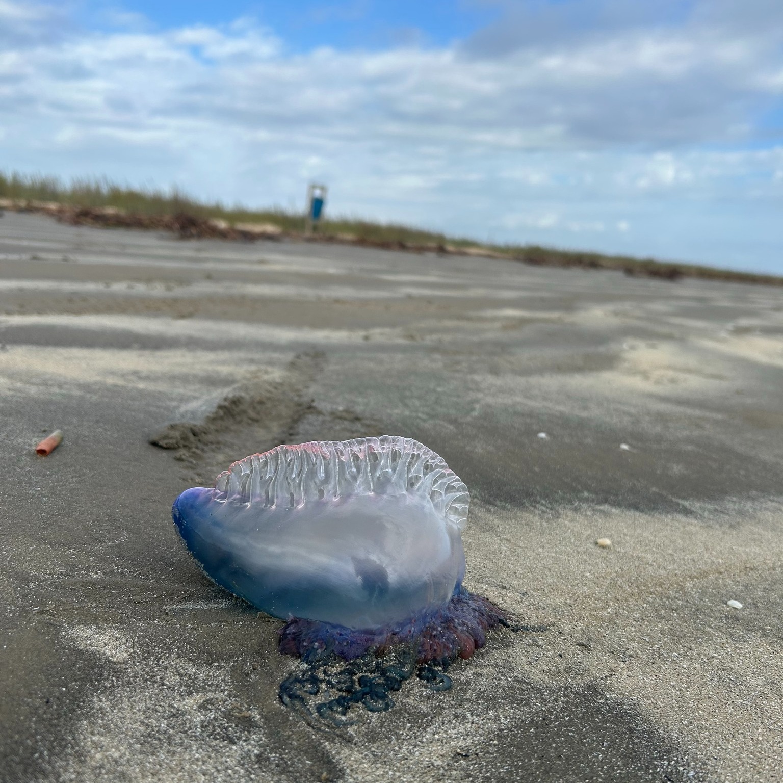 The... - Sea Rim State Park - Texas Parks and Wildlife | Facebook