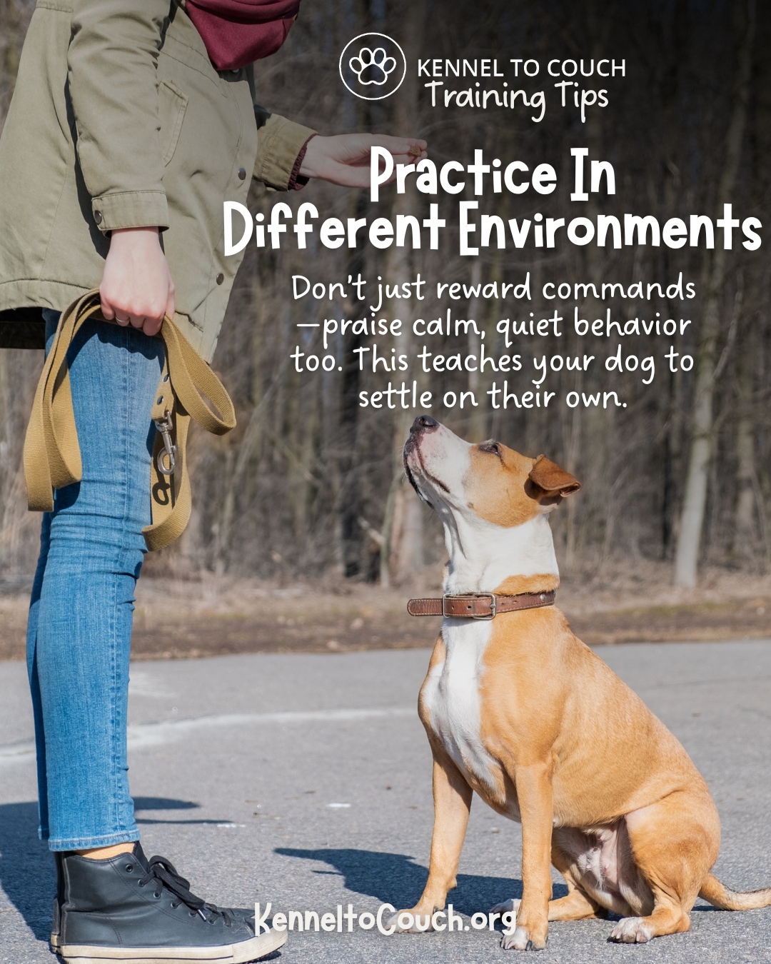 Kennel - A sit at home doesn’t always mean a sit at the park. Training ...