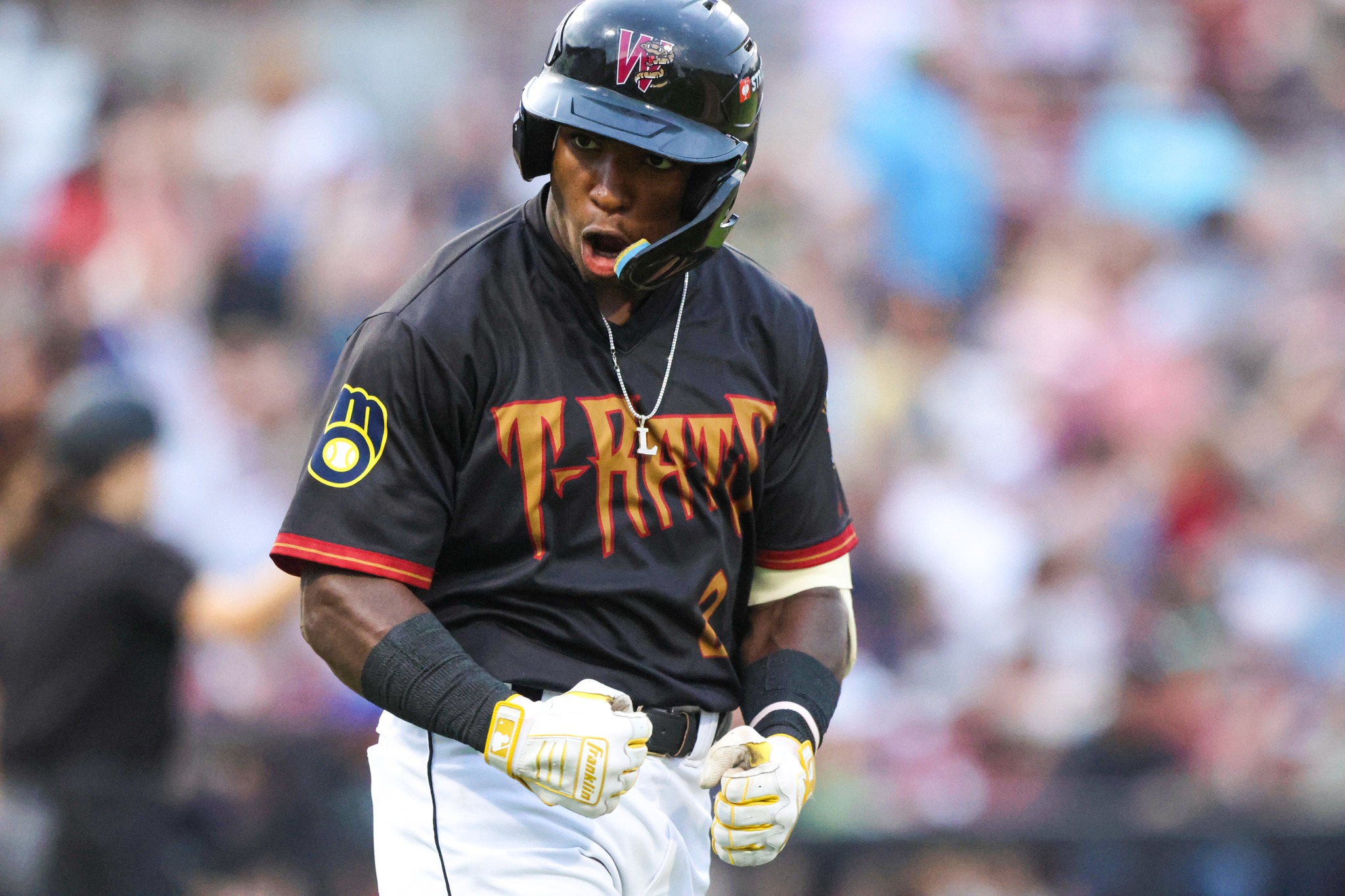 Wisconsin Timber Rattlers | Appleton WI