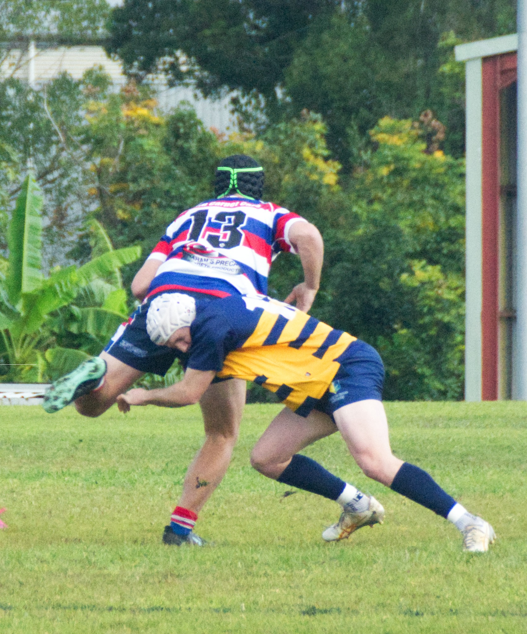 Southern Cross University Gold Rats