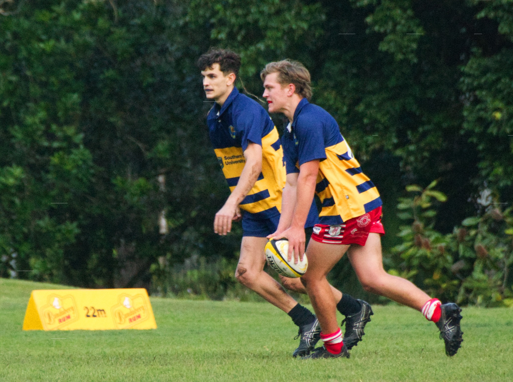 Southern Cross University Gold Rats