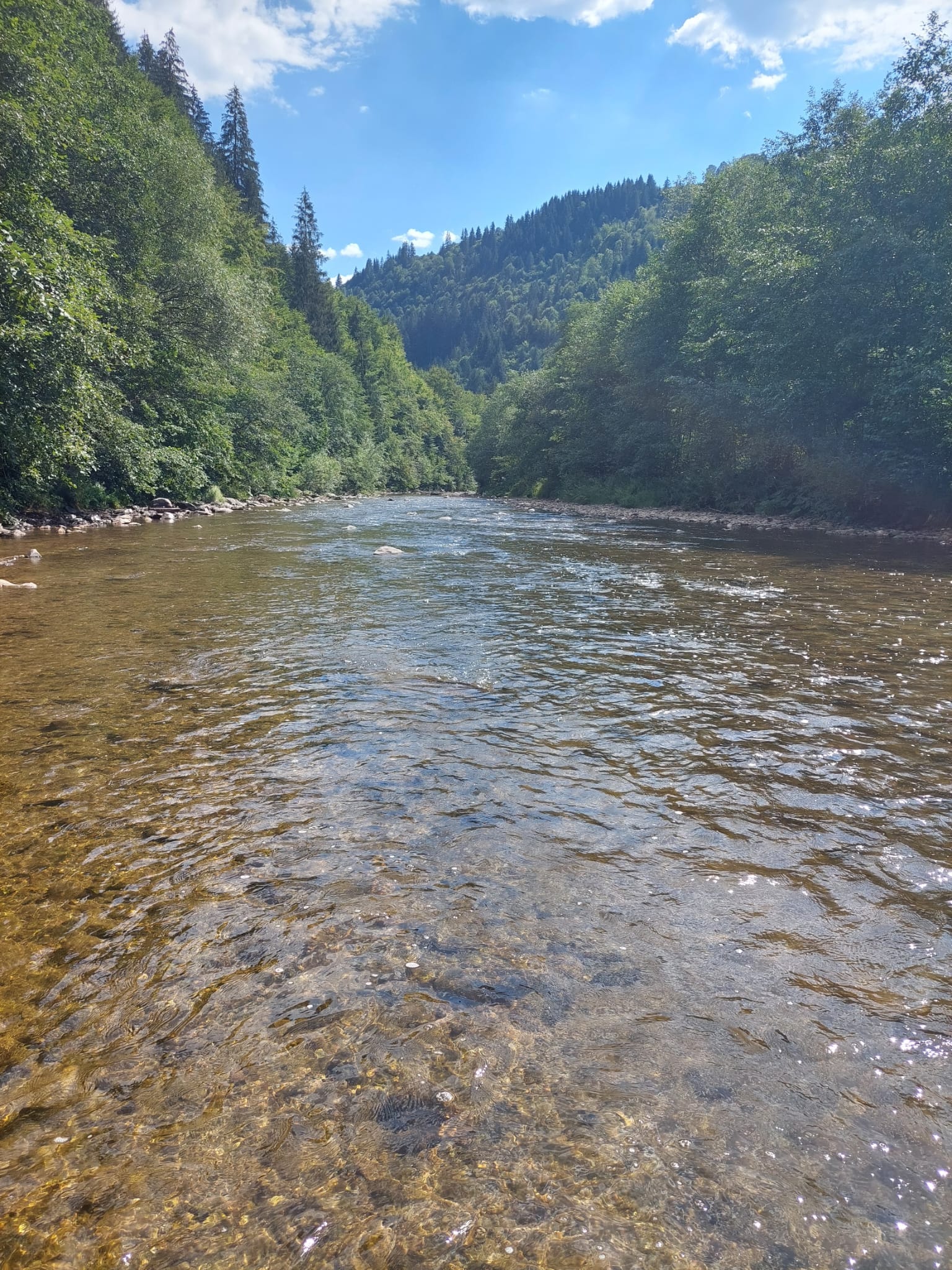 Centrul de informare turistica Albac | Albac