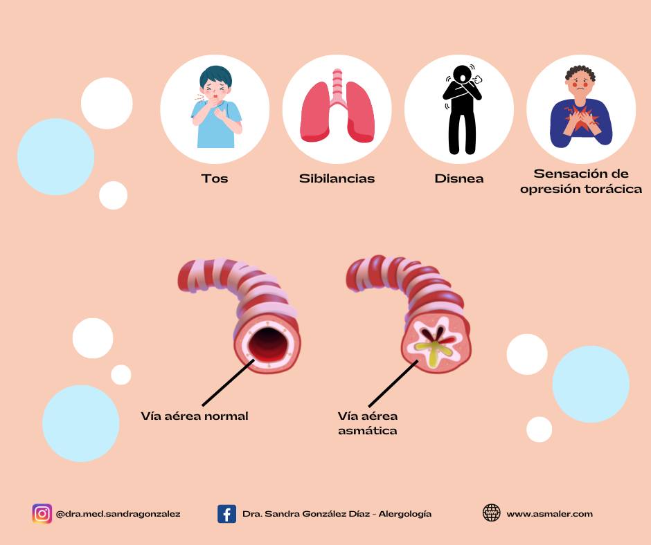 dra-el-asma-es-una-enfermedad-de-las-v-as-respiratorias-que-se