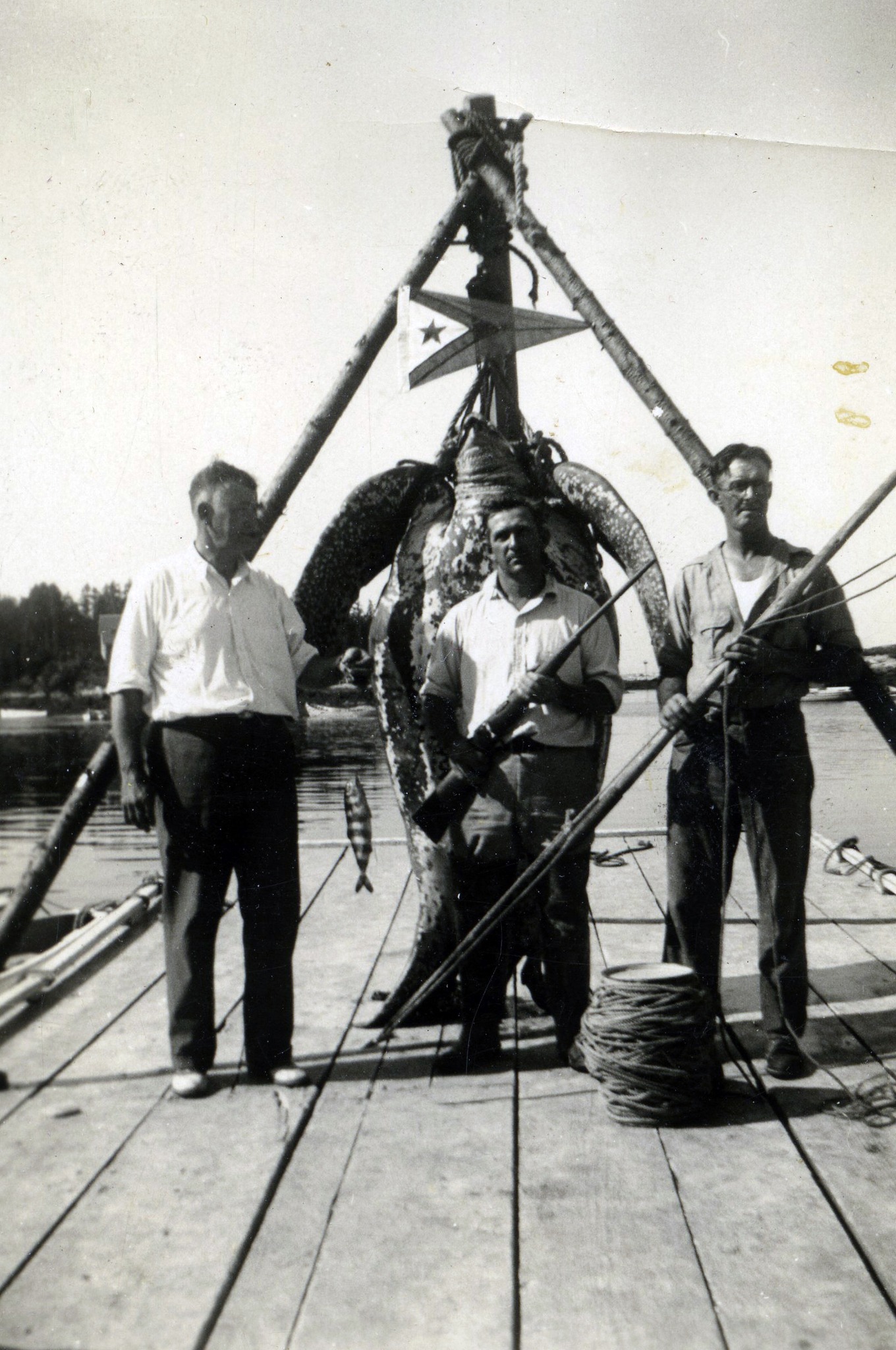 Hendricks - Alvin Brewer, Ed Marr, and ? on the right. Sea turtle ...