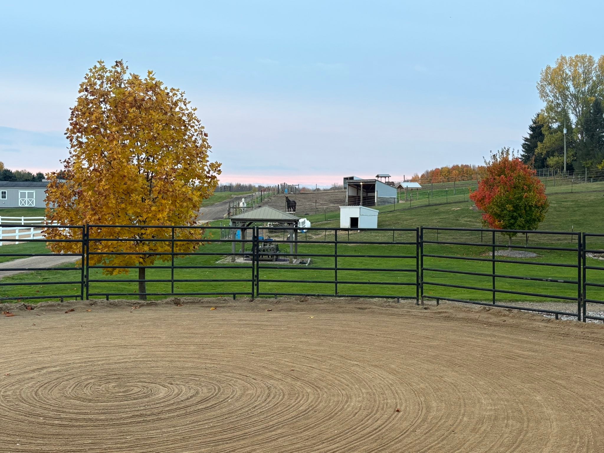 H.U.G.S. Ranch | Byron Center MI
