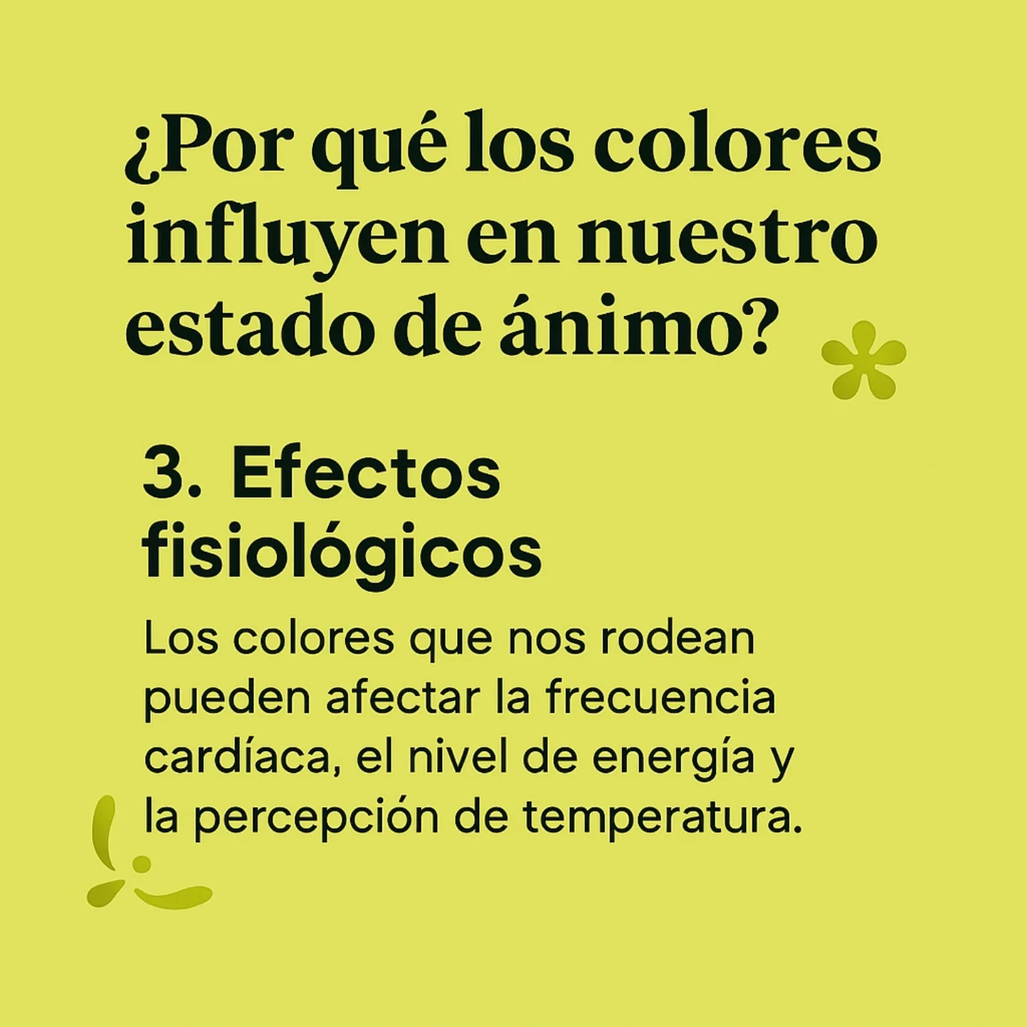 Salamel moda y complementos