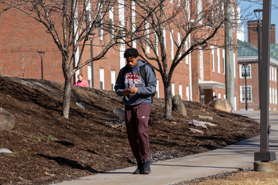 🌸 Spring Break is here, Hawks! 🌸... - Hartwick College | Facebook