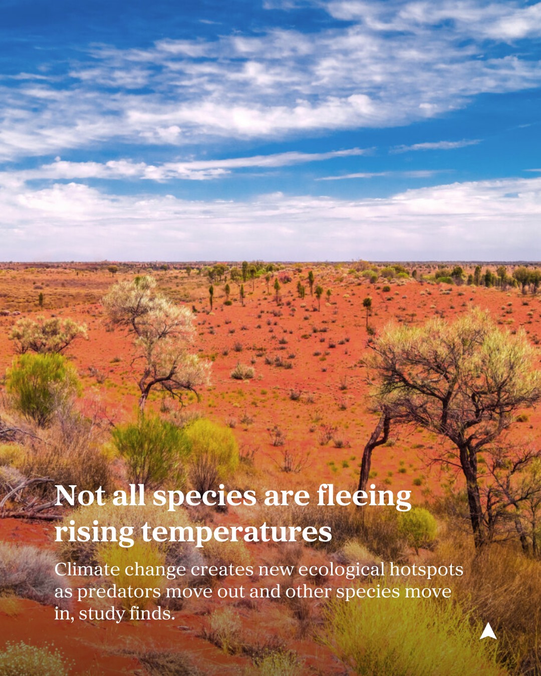Not all species are fleeing the... - Australian Geographic | Facebook
