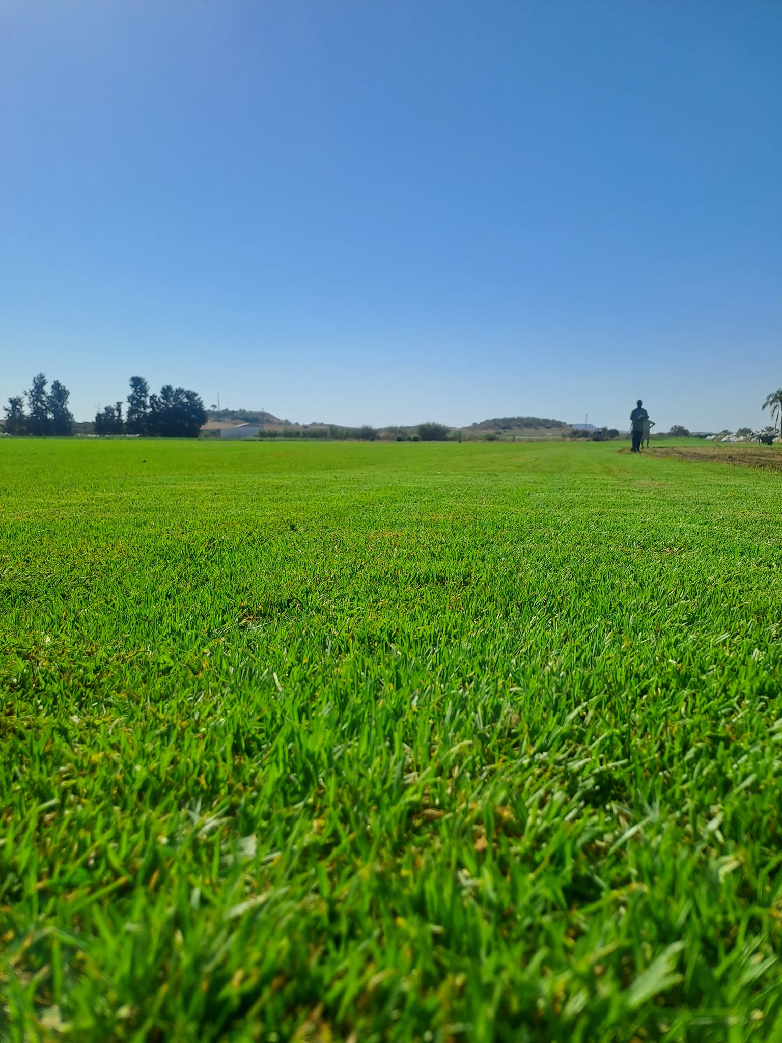 Turfland Cyprus | Potamia