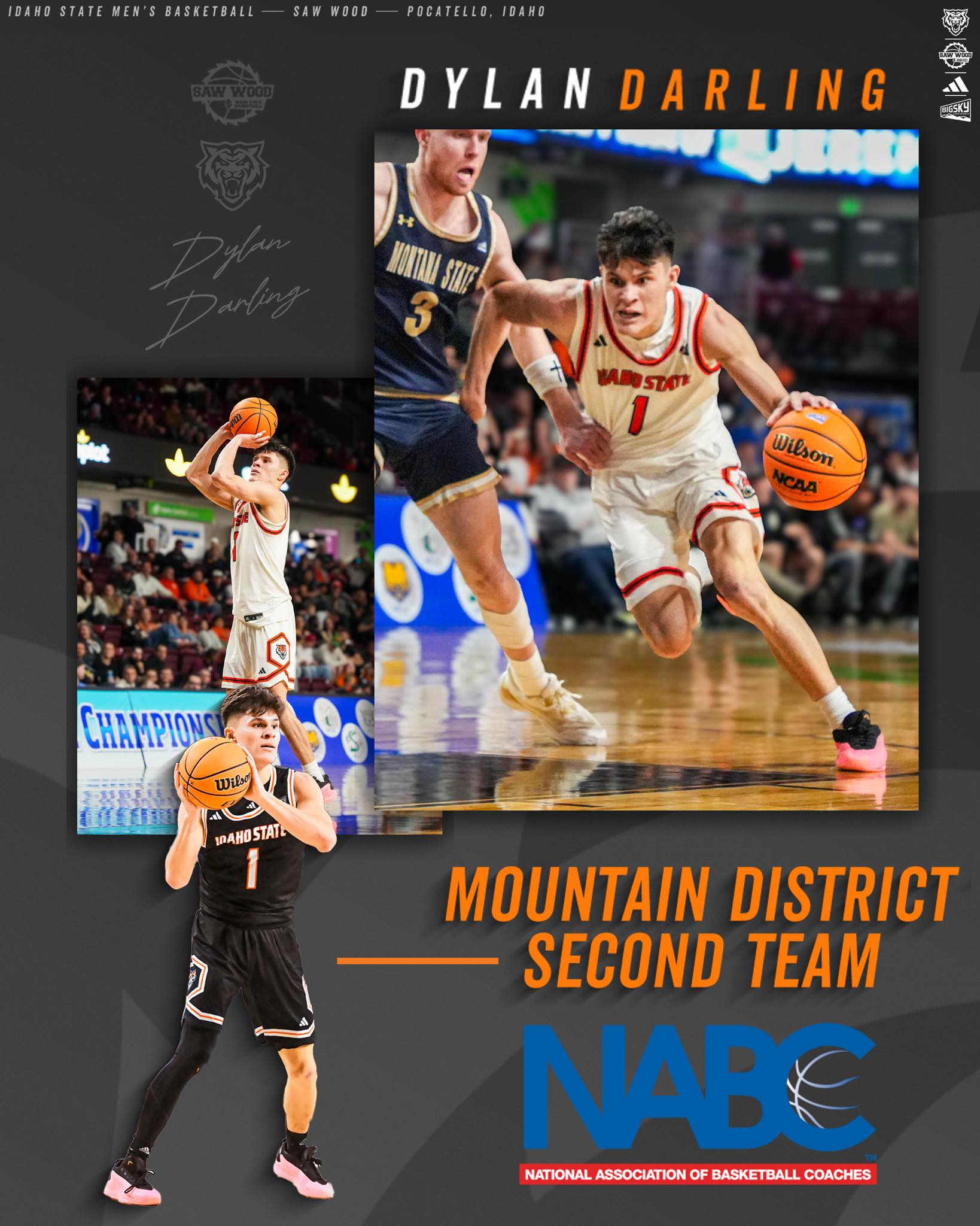 Idaho State Men's Basketball