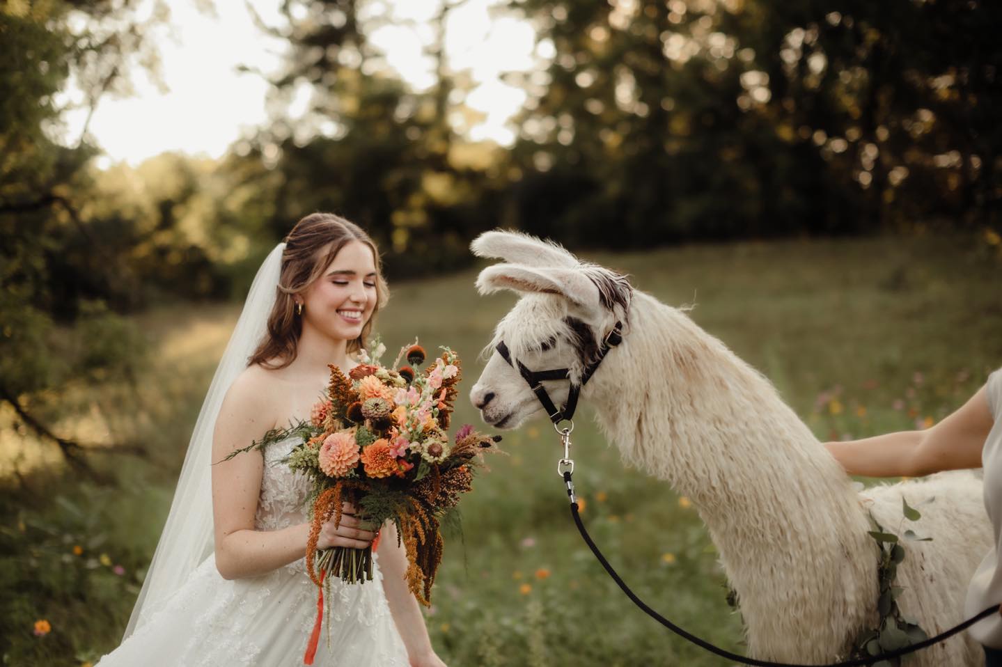 Casacampo Alpaca Ranch | Wisconsin Dells WI