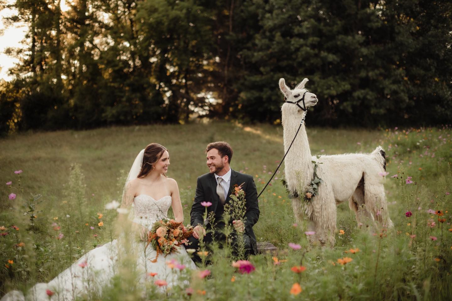 Casacampo Alpaca Ranch | Wisconsin Dells WI