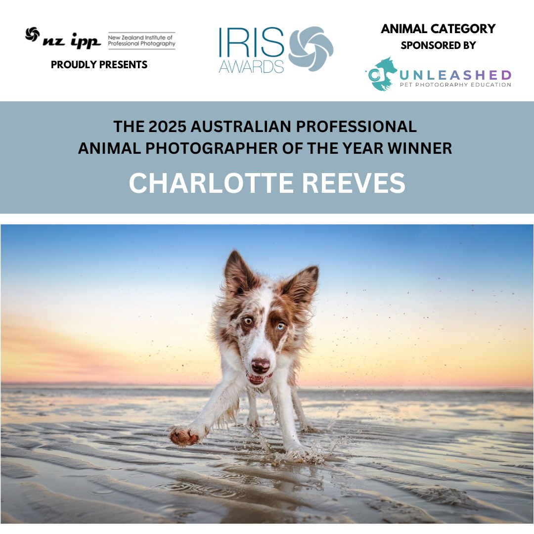 Charlotte Reeves