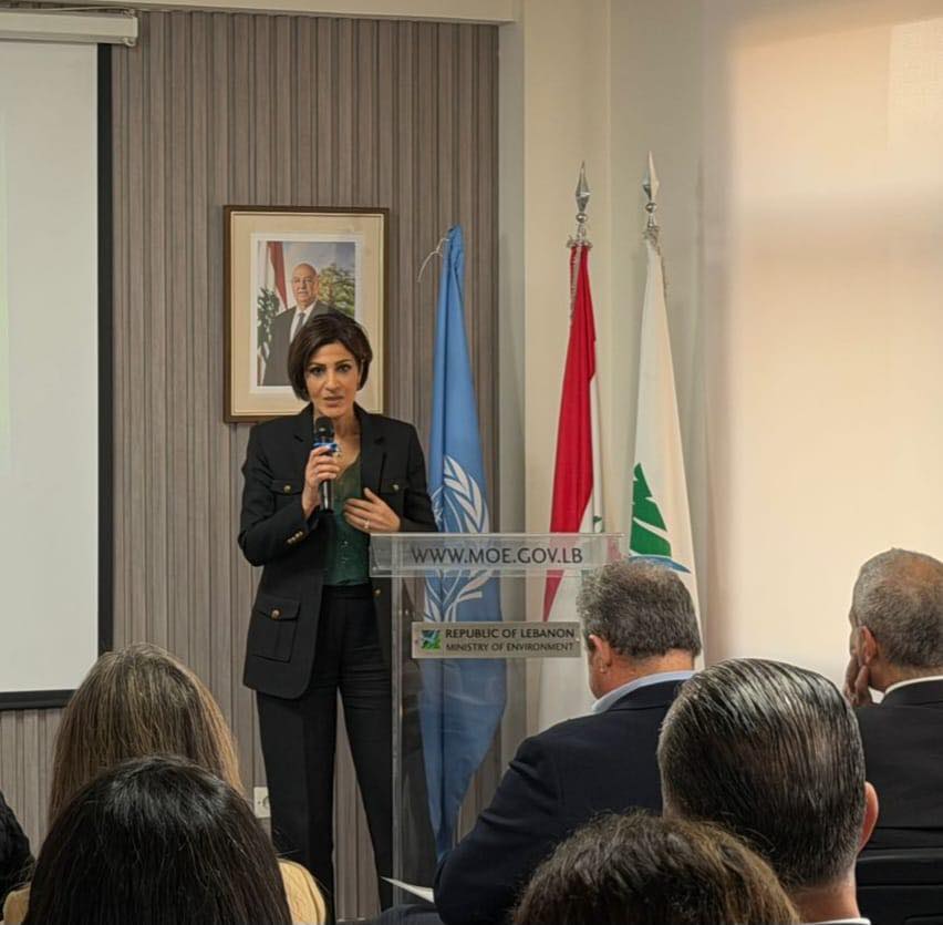 UNDP - In partnership w/ Embassy of Canada to Lebanon , #UNDP supports ...