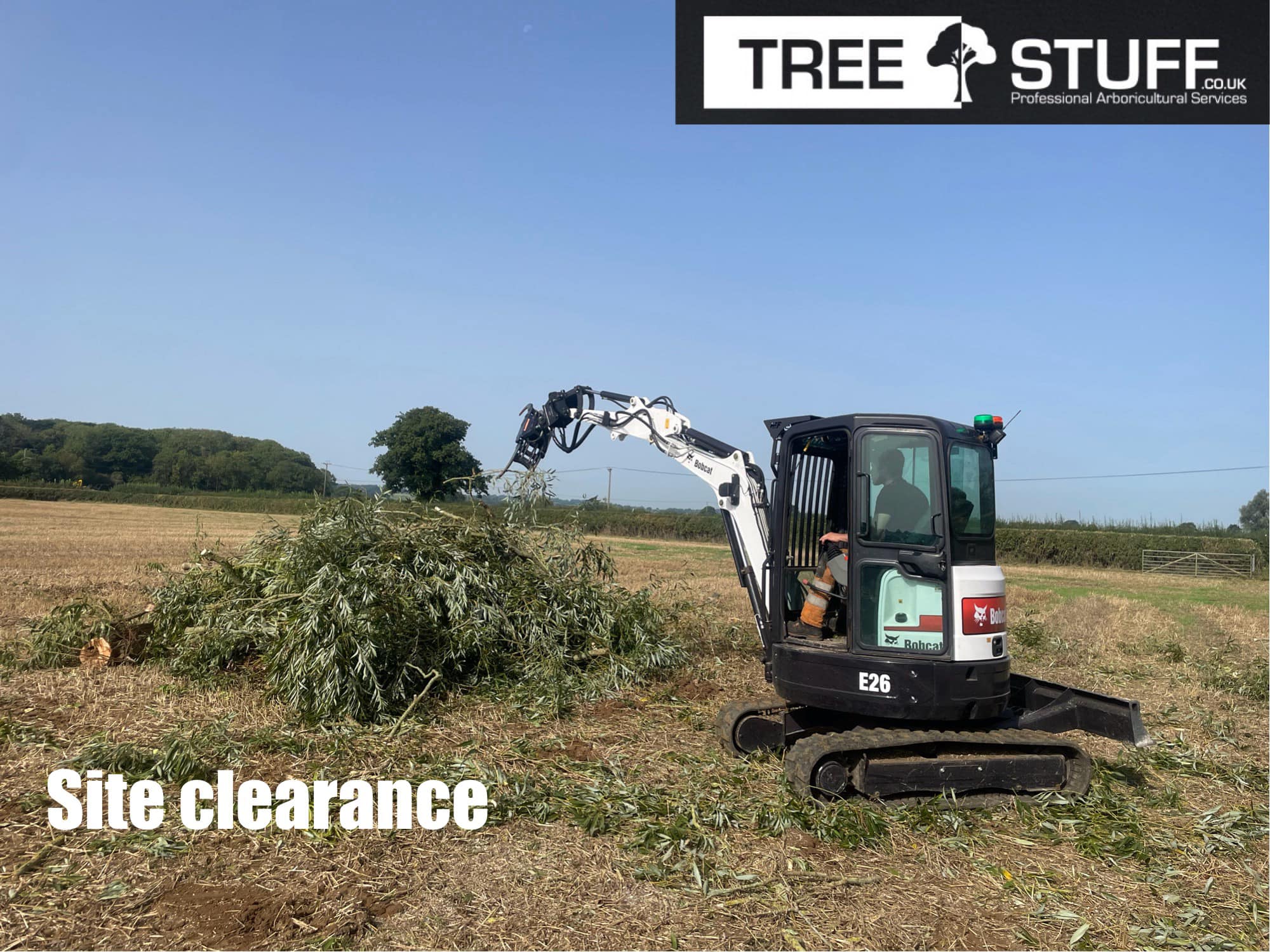 TreeStuff | Blandford Forum