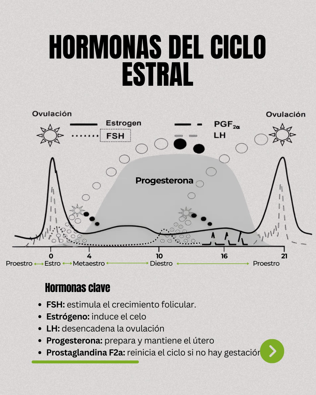Provegan Ecuador added a new photo. - Provegan Ecuador