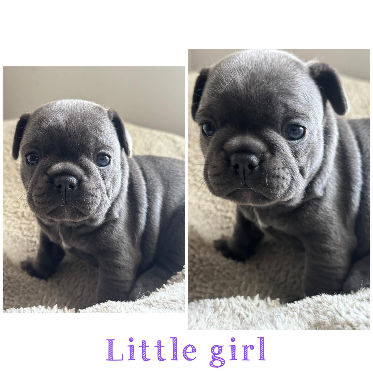 Rusty Wire Ranch | Grand Rapids OH