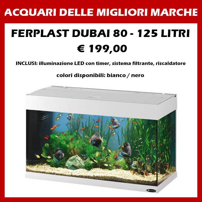 Piranha Acquari - Pesci Tropicali - Piante Acquatiche | Facebook