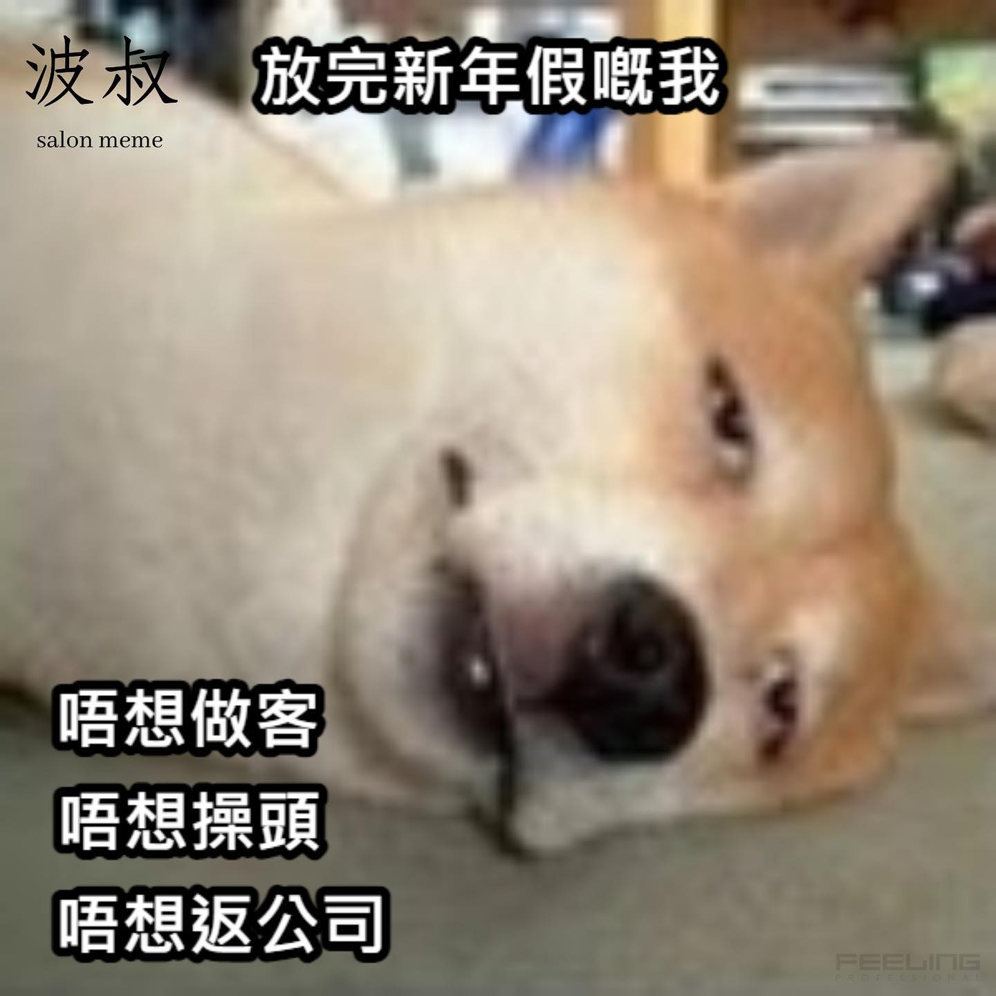 波叔.salon meme - 【髮型師meme】 為生活 我可以忍🥲 #個態仲未返到嚟...