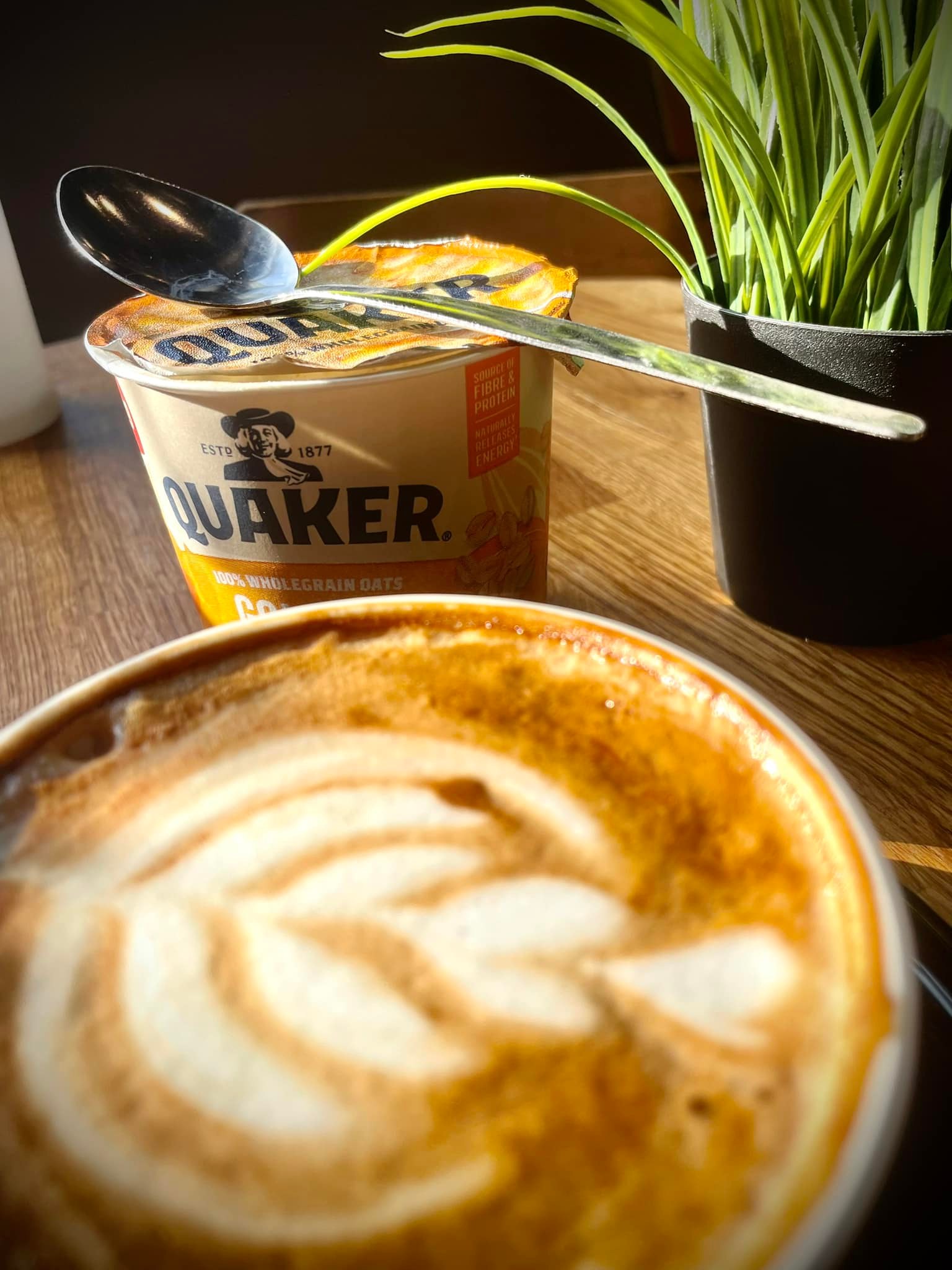 Deaf Cat Coffee | Rochester