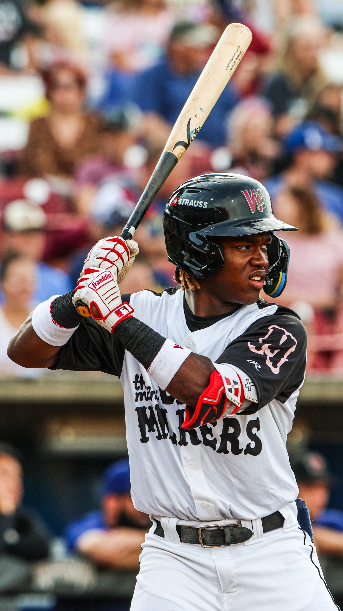 Wisconsin Timber Rattlers | Appleton WI