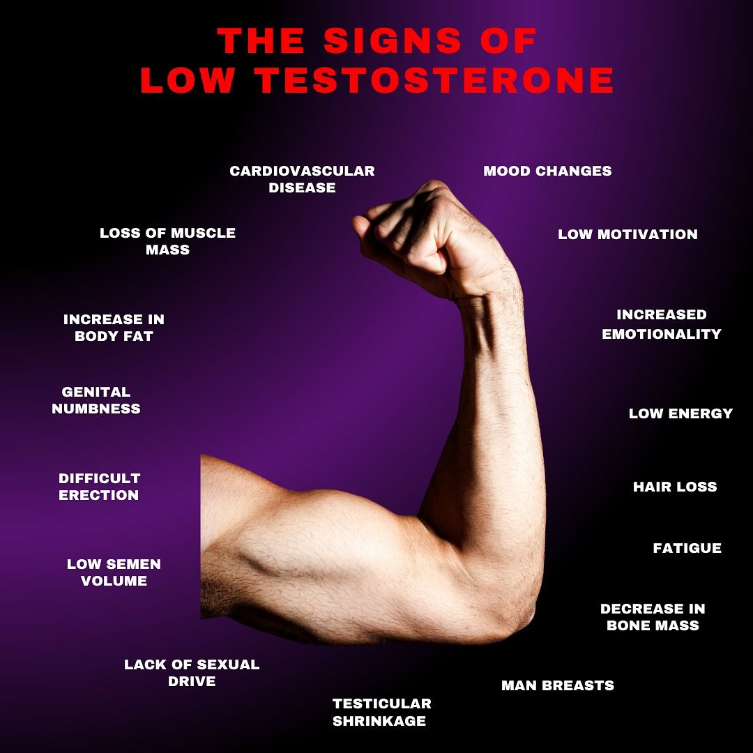 Performance - 🌟 5 Types of Fatigue That Aren't Talked About Enough 🌟 ...