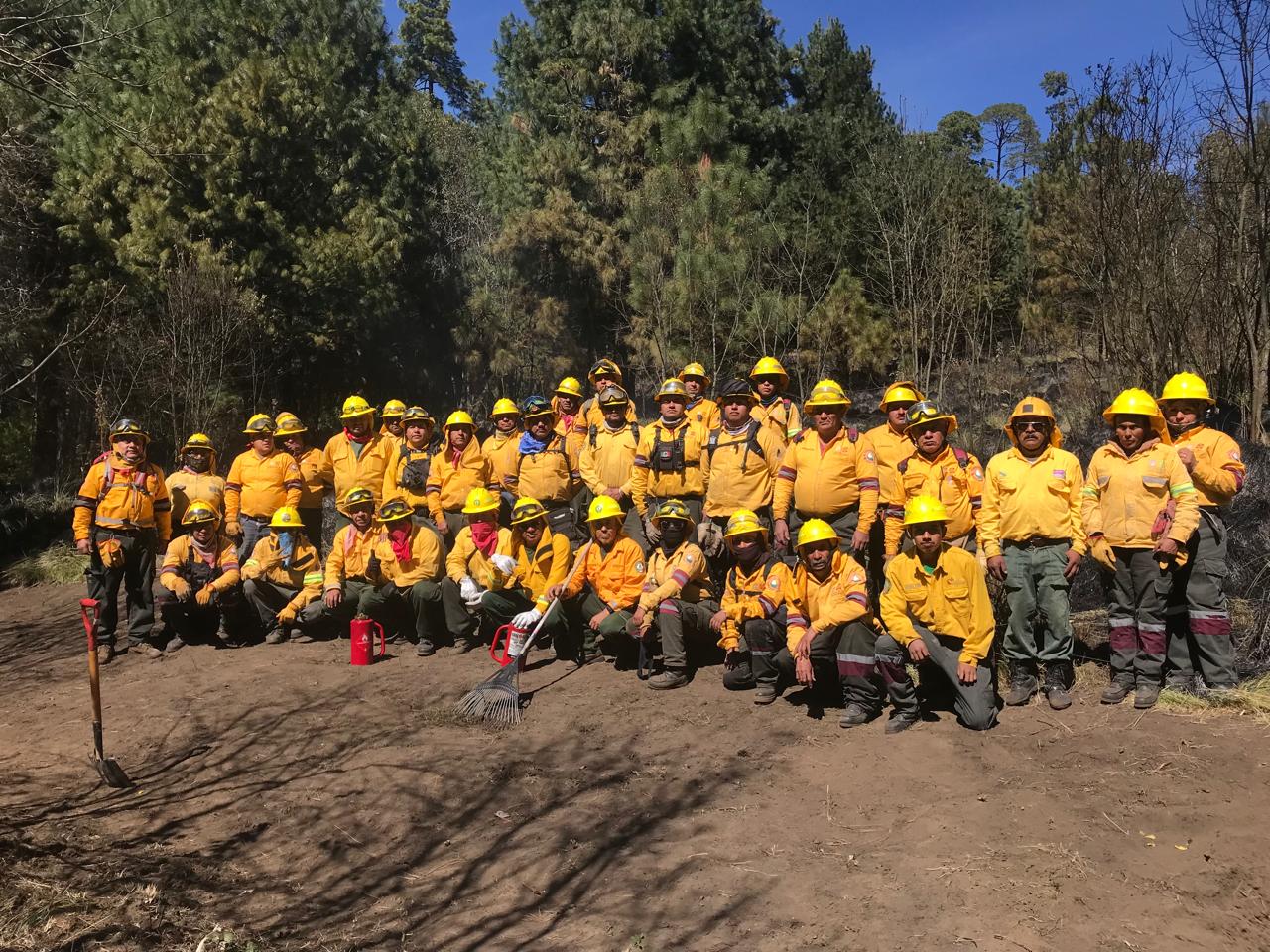 Comisión Nacional Forestal - En algunas zonas áridas y semiáridas se ...