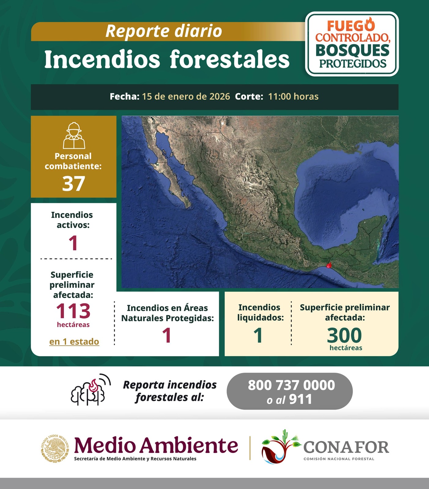 Comisión Nacional Forestal - En algunas zonas áridas y semiáridas se ...