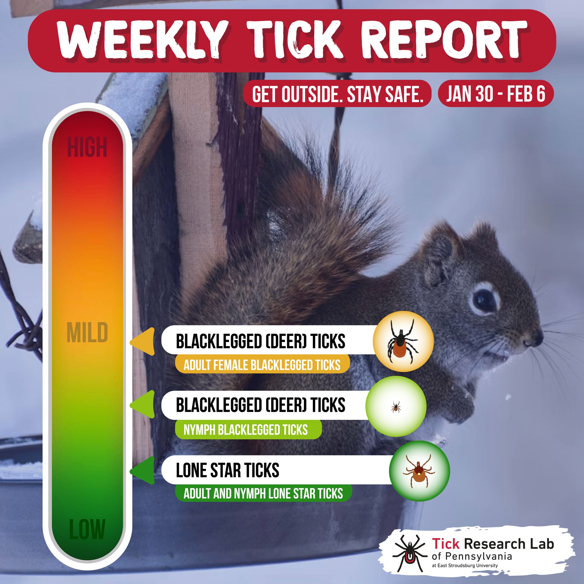 Happy Friday! This weekend's... - PA Tick Research Lab | Facebook