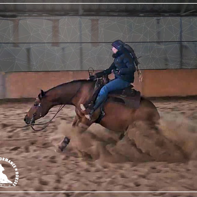 Lite från clinicen idag på High Rock Ranch. | Helenes Reining Horses ...