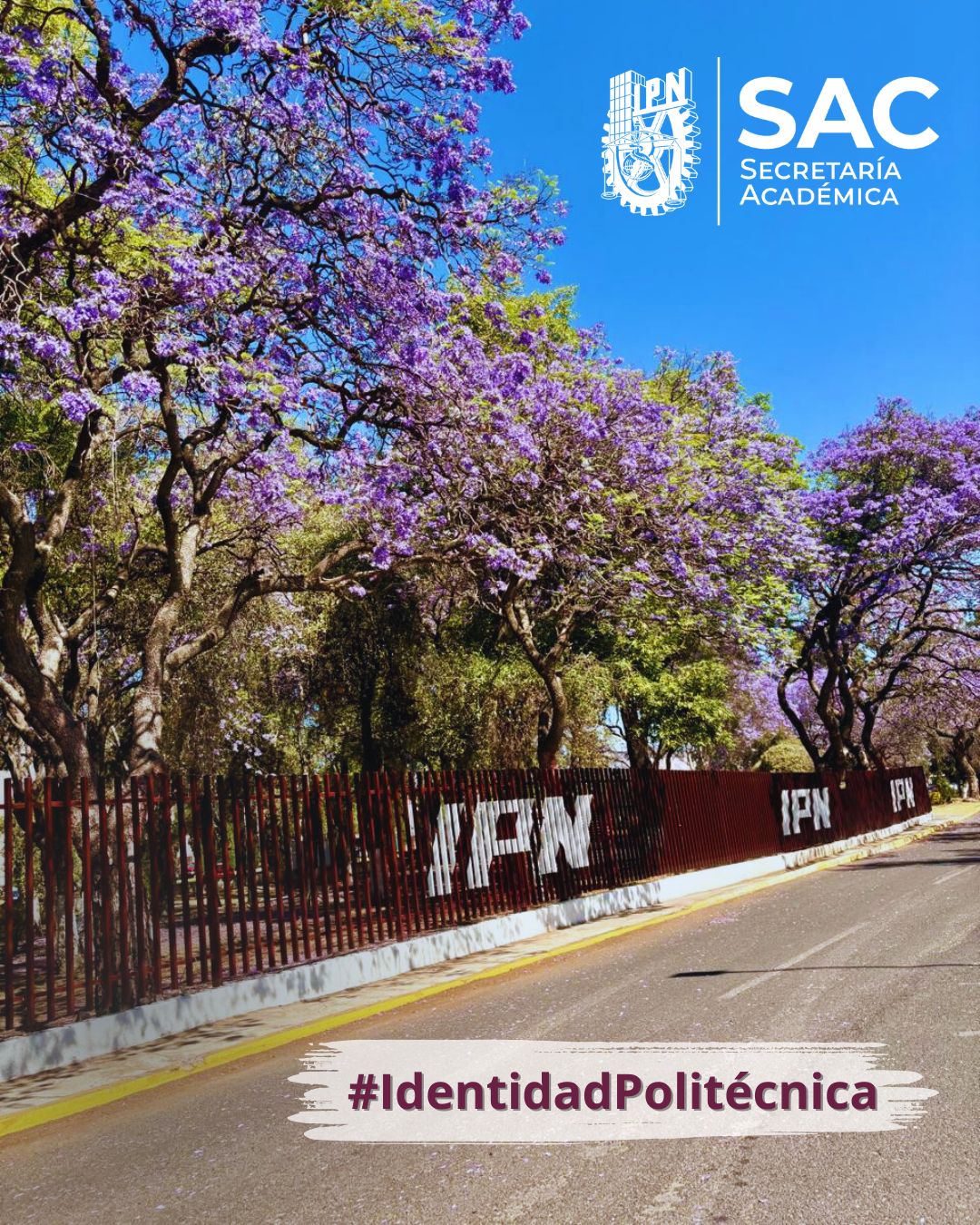 Secretaría - ¡Feliz miércoles! 🌸 Que tu día florezca como las ...
