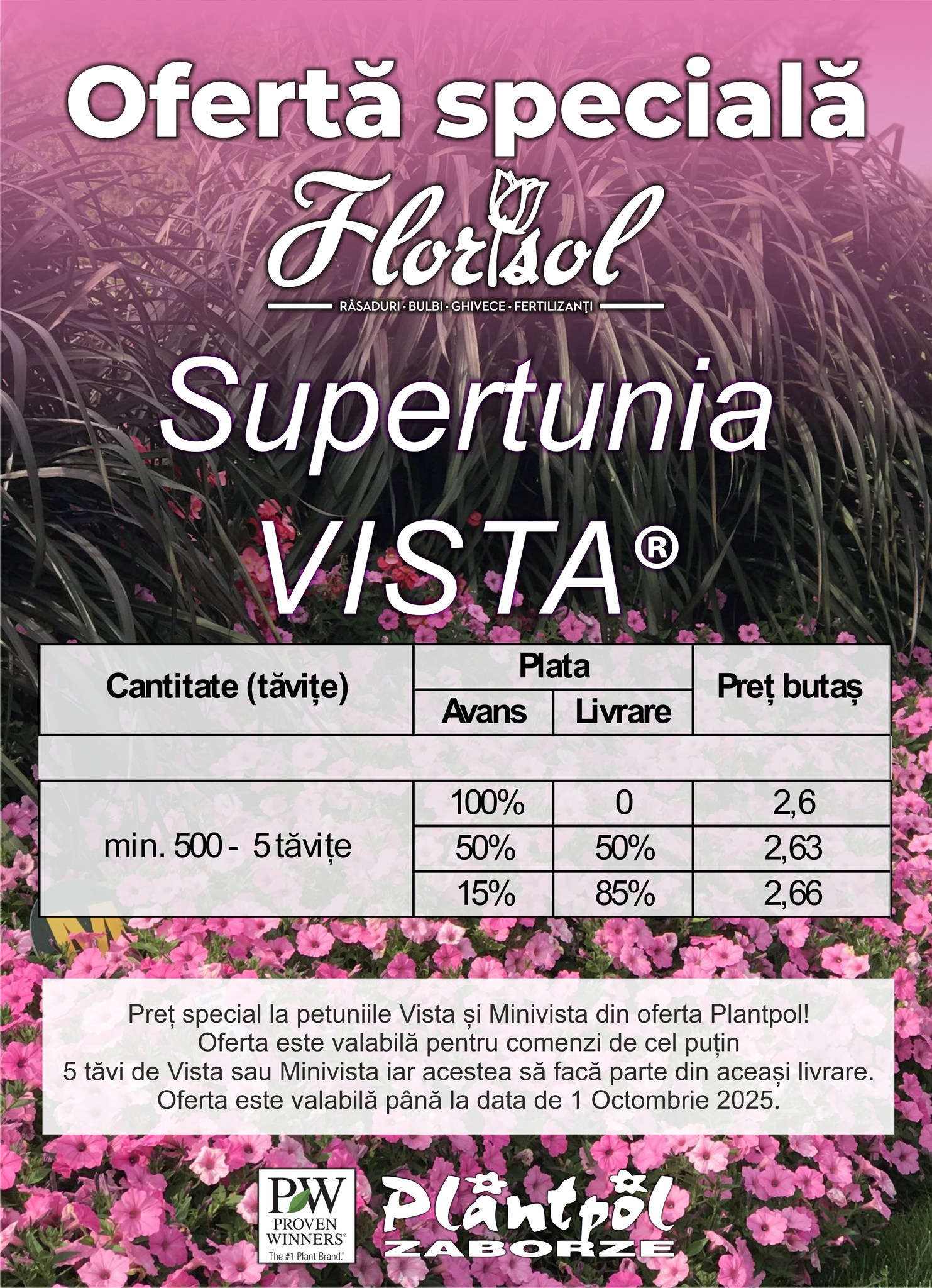 florisol-avem-disponibile-ierburi-in-ghivece-de-11-cm-pot-fi-direct