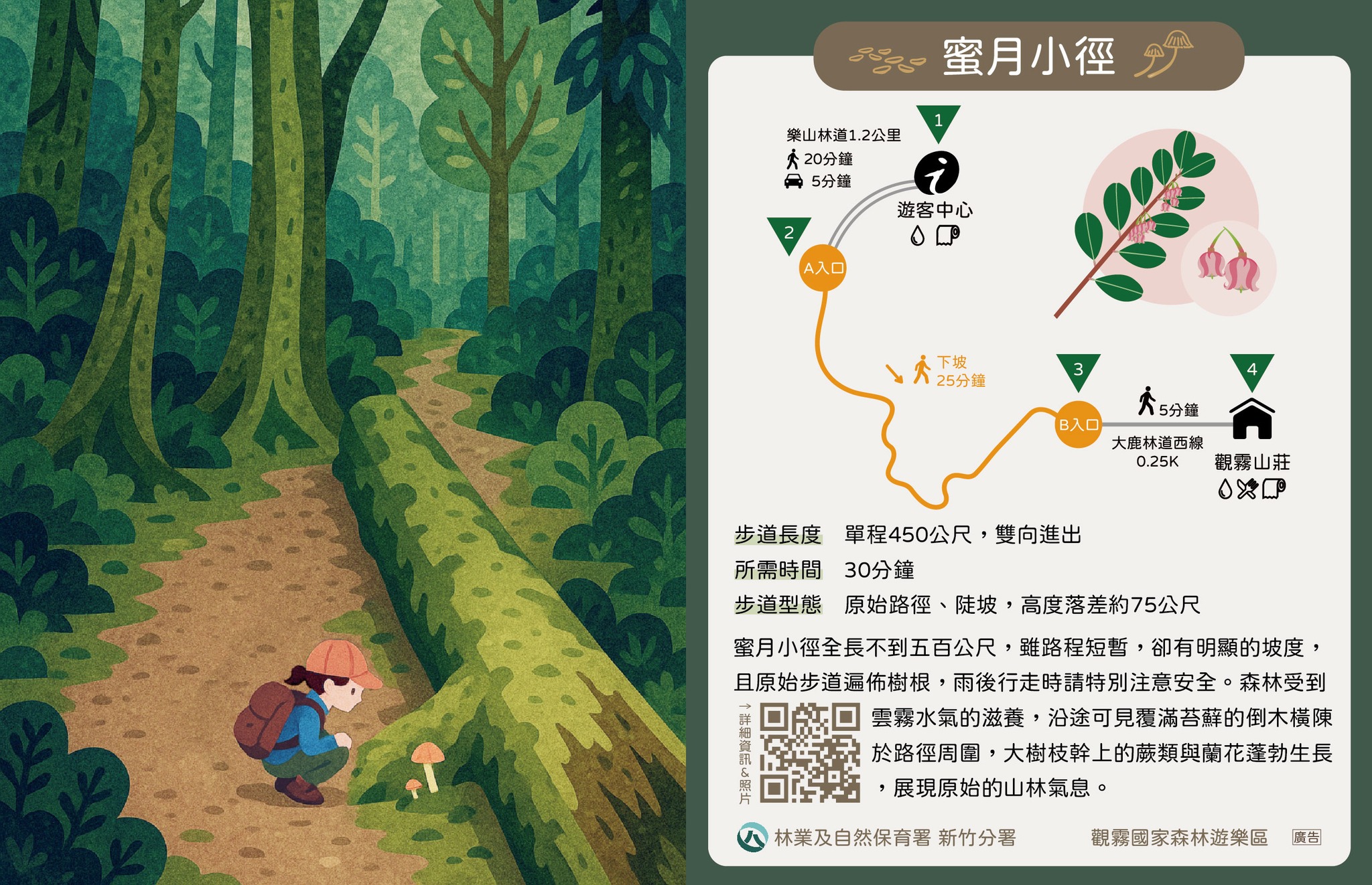 觀霧國家森林遊樂區 - 【短距陡坡｜不容小覷】 🐿️蜜月小徑（30分） 👂賞鳥步道（30分） 特色：充滿野趣的森林捷徑。 ⚠️注意：雖然距離短 ...