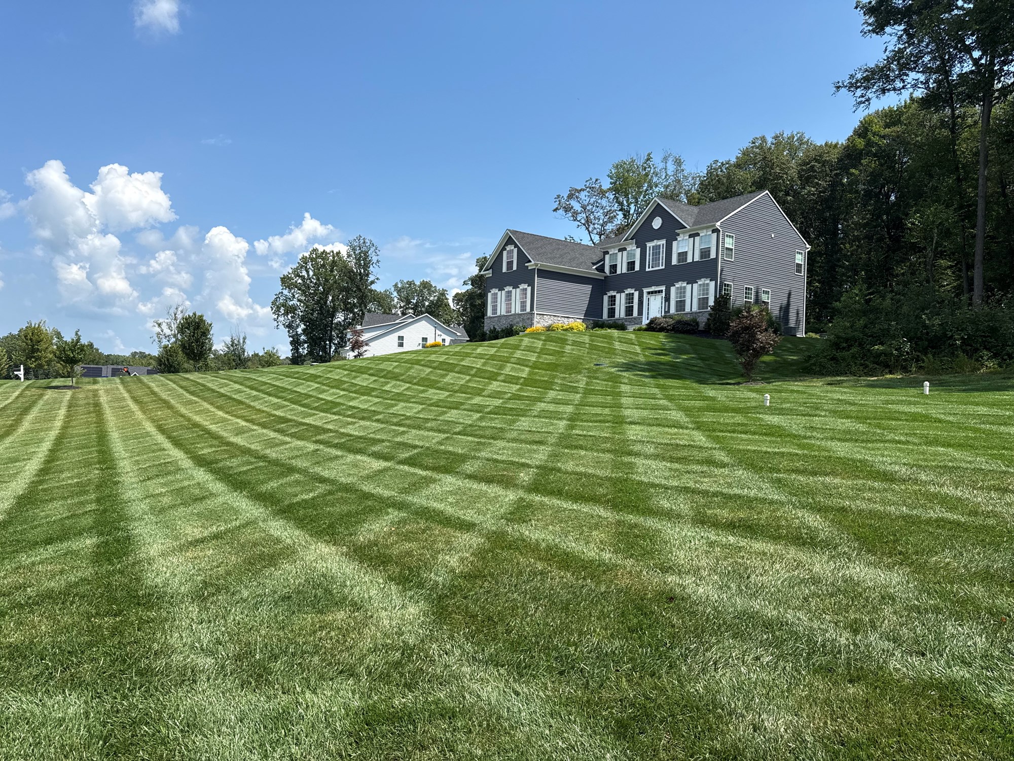 Exmark Lazer Z Adapt technology experience with wet grass and 72