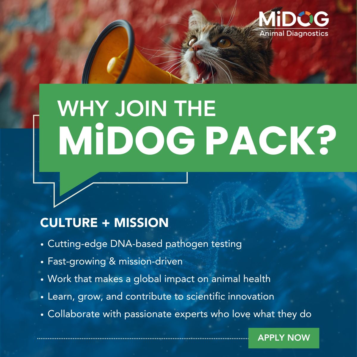 miDOGtest | Tustin CA